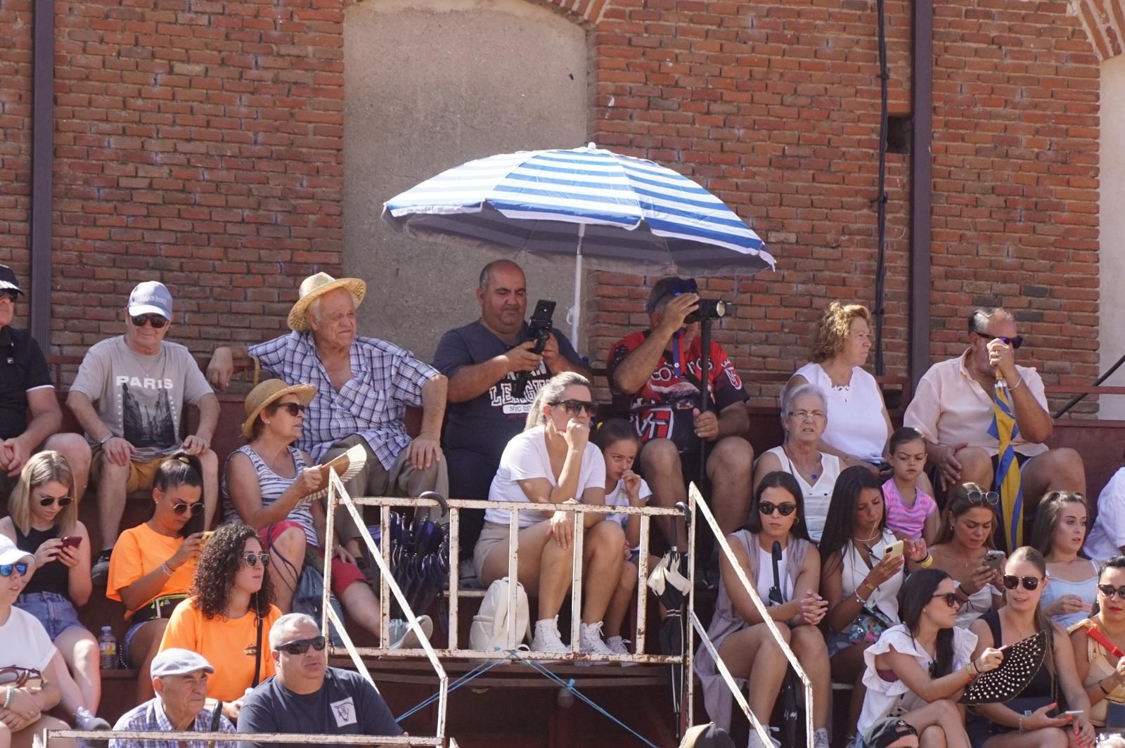 toro-de-cajon-de-castrillo-de-la-guarena-fotos-juanes-15