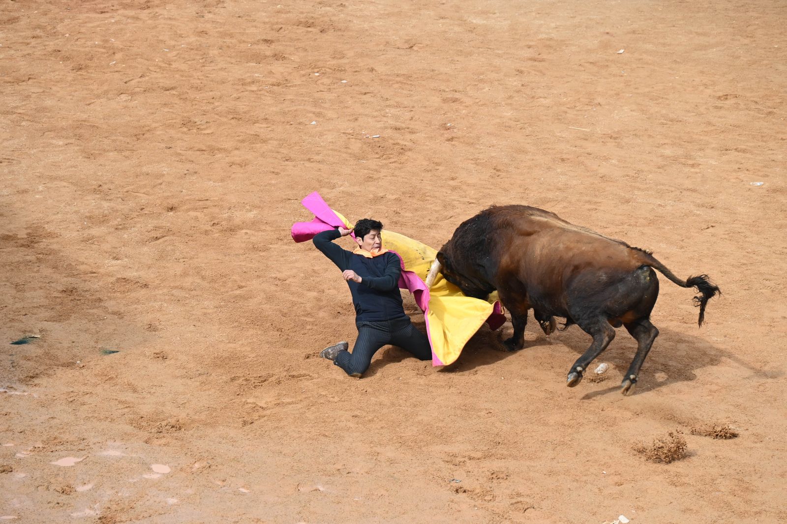 Toro Más Bravo 2025 Torrealba (1)