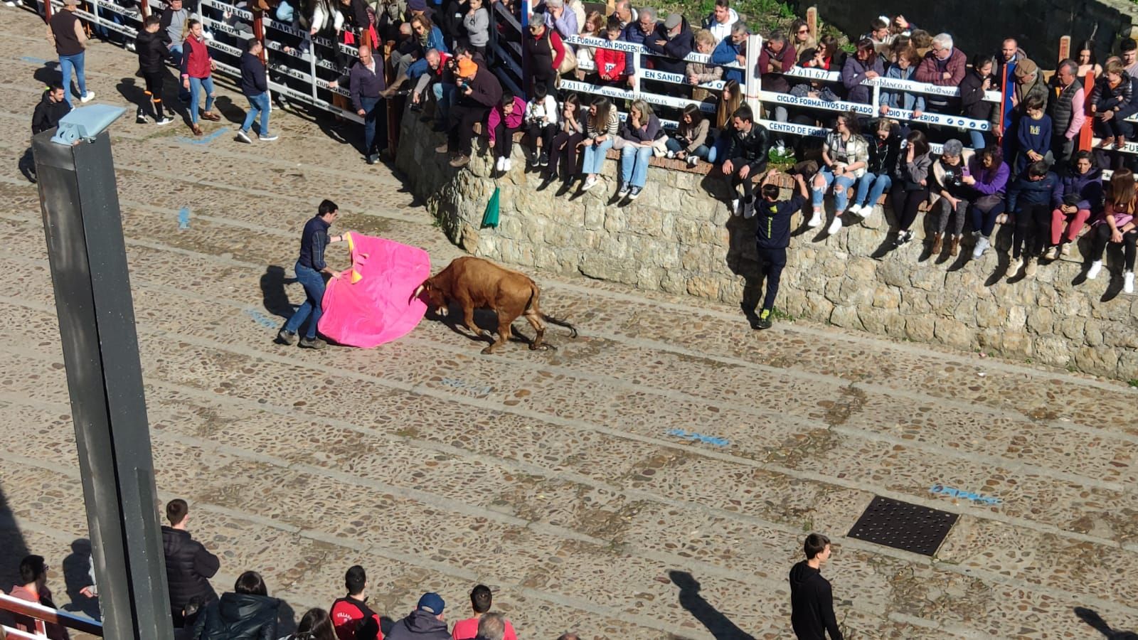 ambiente-con-la-suelta-de-vaquillas-en-el-domingo-de-pinata-en-ciudad-rodrigo-13