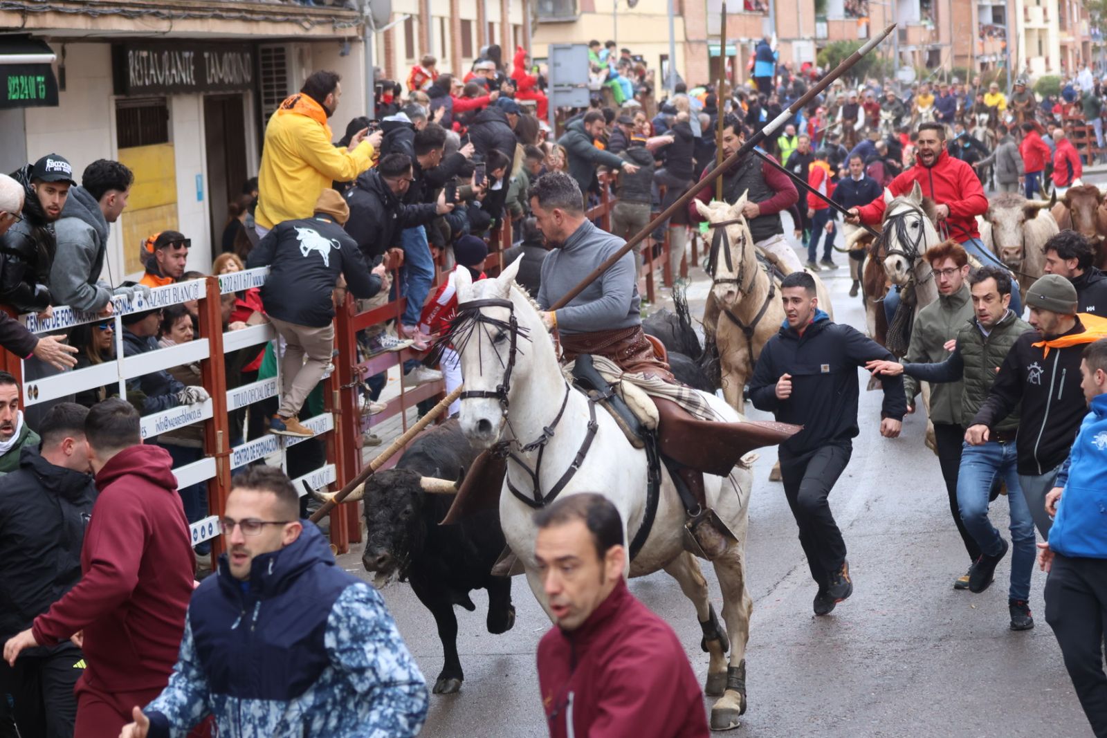 Encierro a Caballo en el Carnaval del Toro 2026 de Ciudad Rodrigo