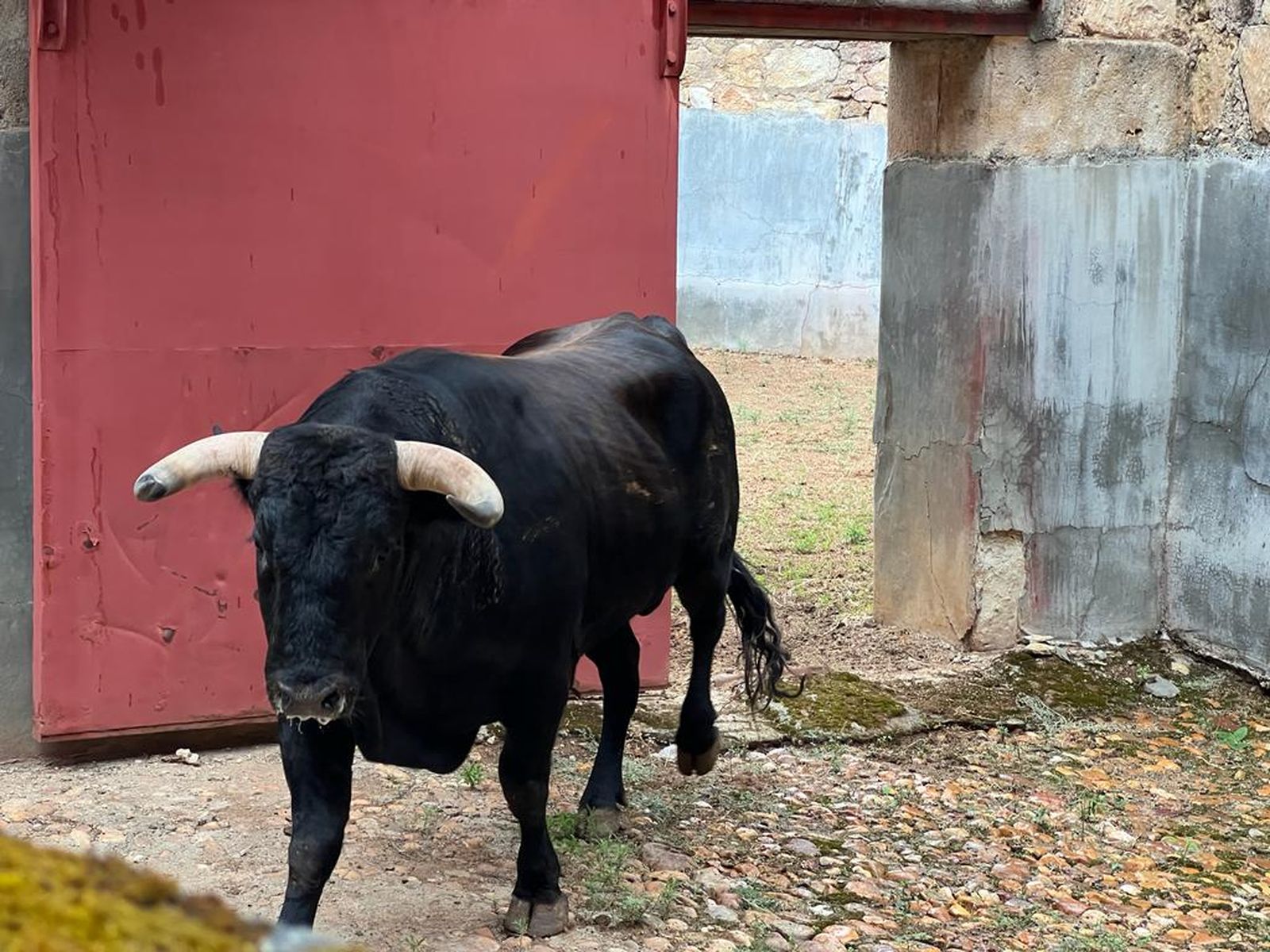 whatsapp-image-2023-09-16-at-12-52-59