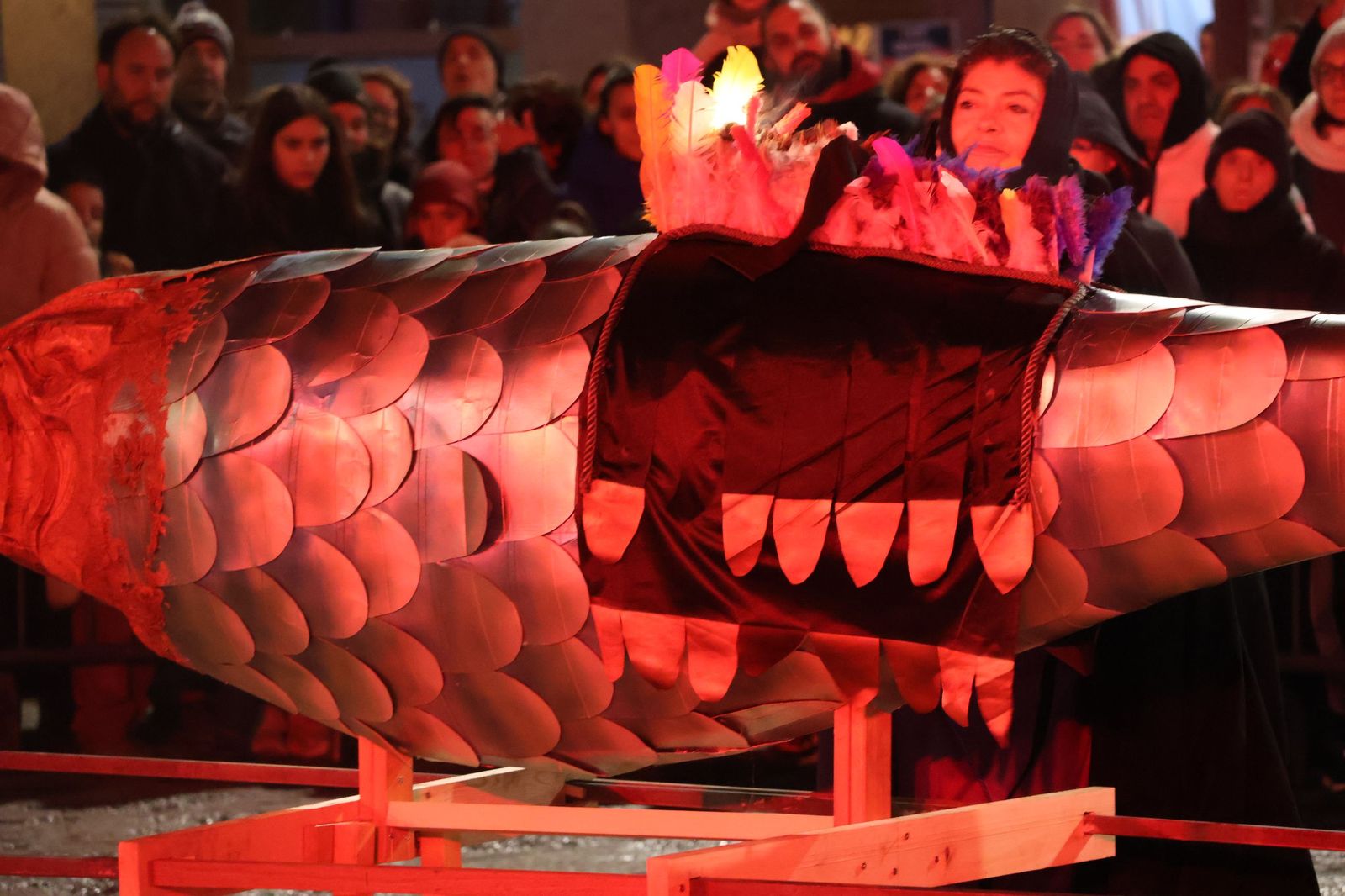 GALERÍA | Entierro de la sardina Zamora 2026