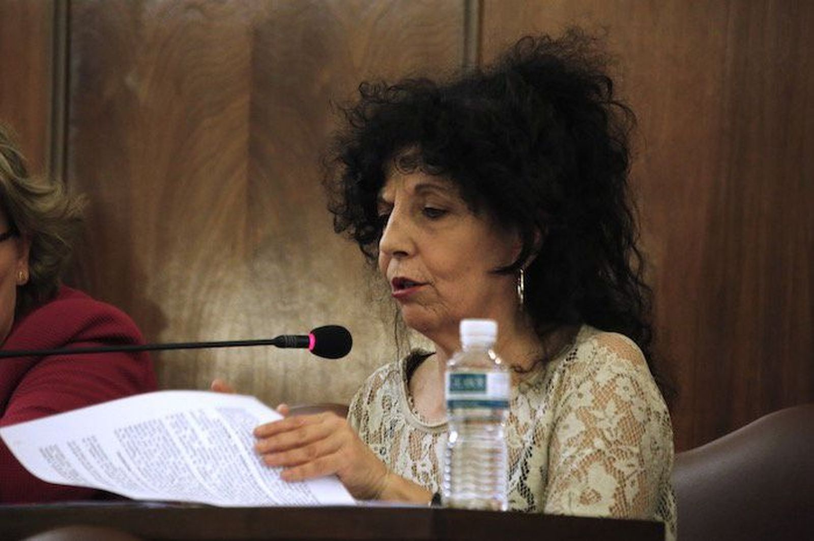 Izquierda Unida en la Diputación