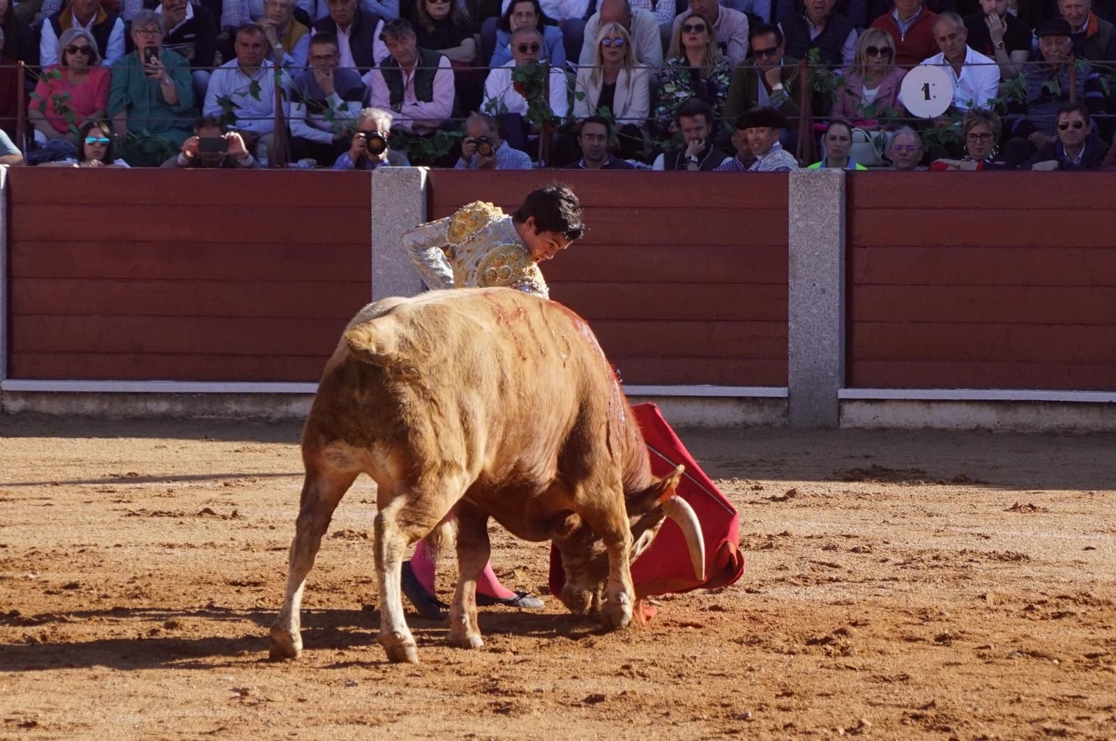 whatsapp-image-2024-04-20-at-19-59-33-1