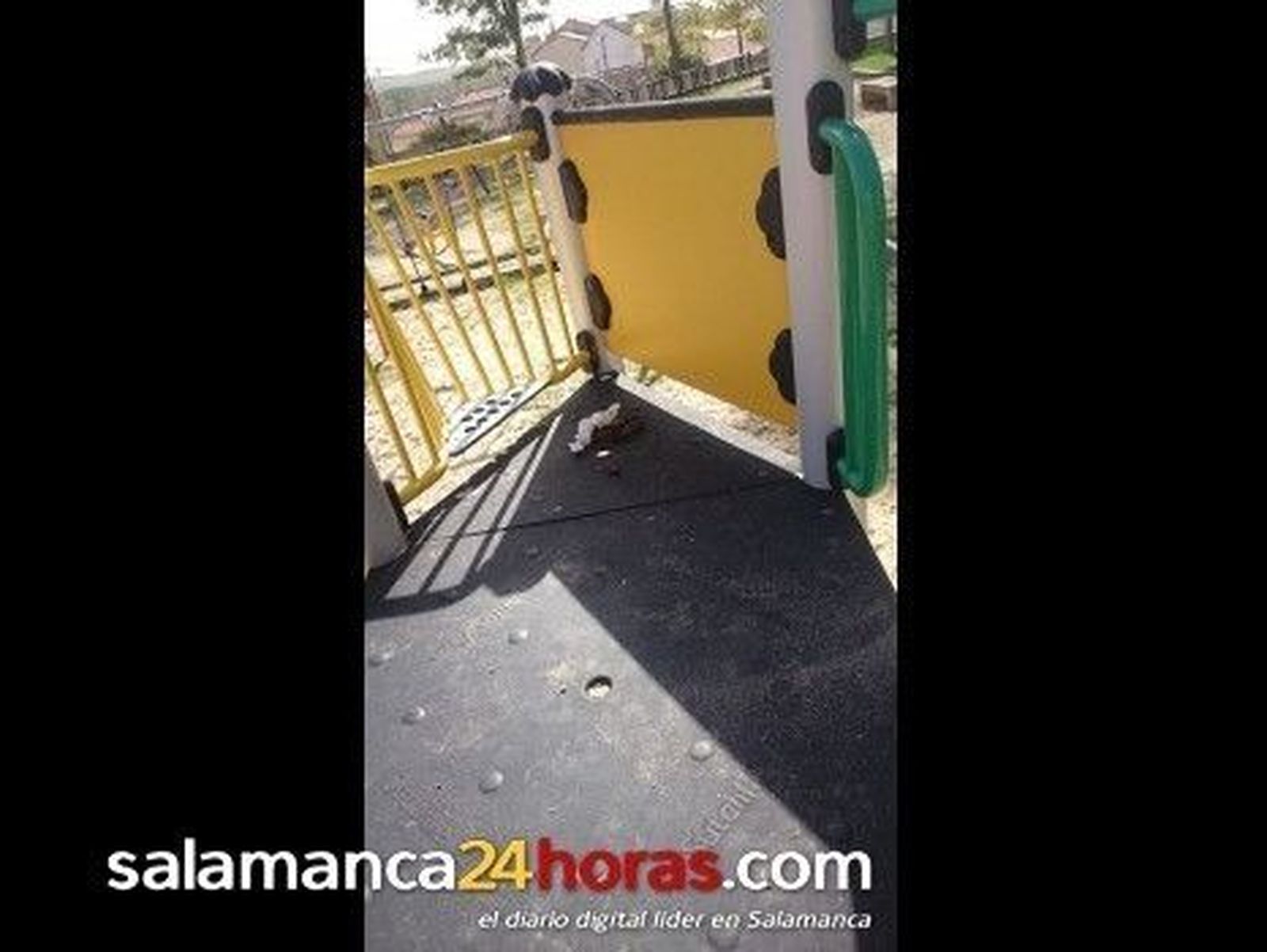 Fotos Denuncia de Salamanca