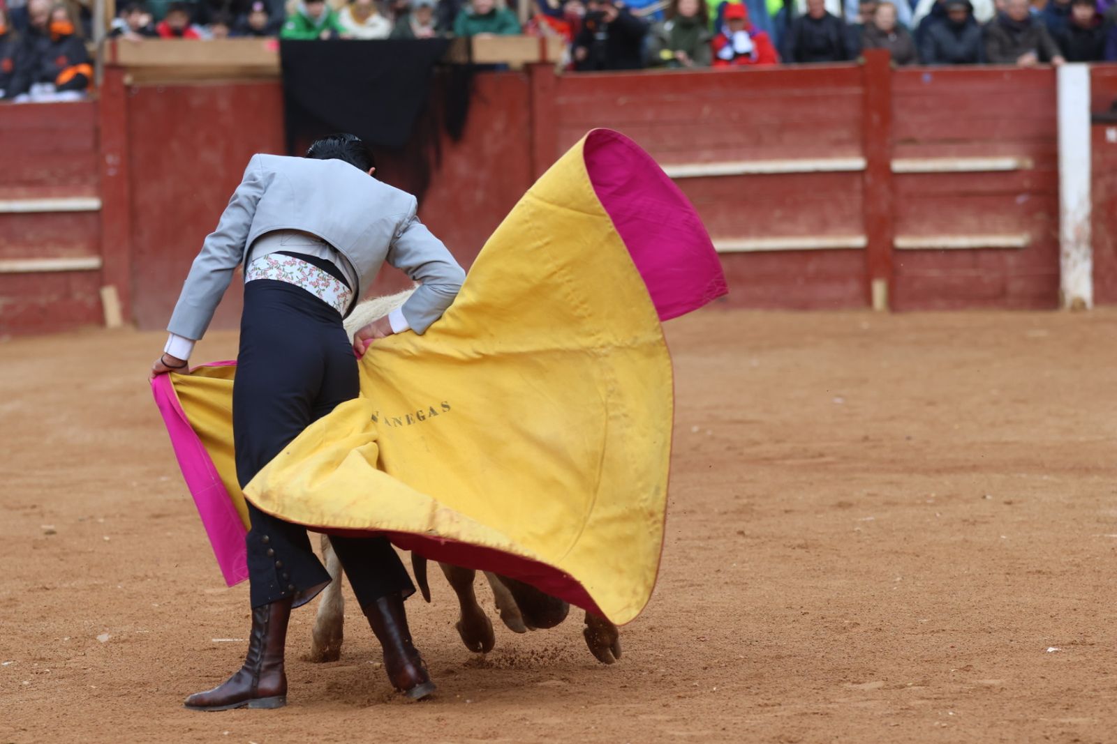 Novillada sin picadores del bolsín taurino y rejones en Ciudad Rodrigo