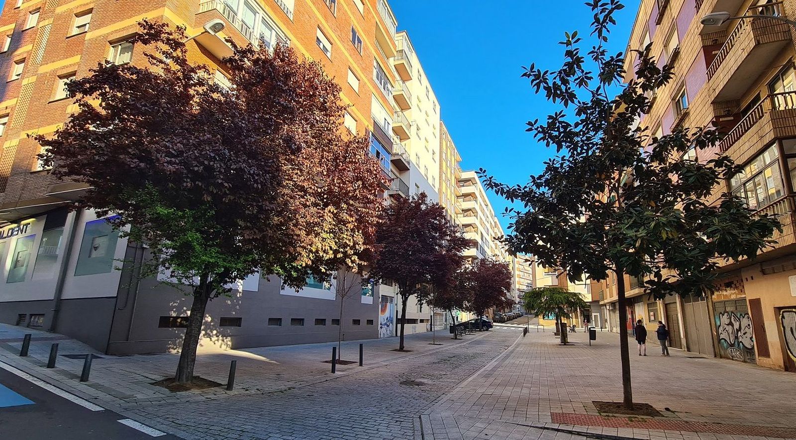 Cinco nuevo arces en calle Escultor Carmona, en el barrio del Oeste. Foto Ayto. Salamanca Cinco nuevo arces en calle Escultor Carmona, en el barrio del Oeste. Foto Ayto. Salamanca