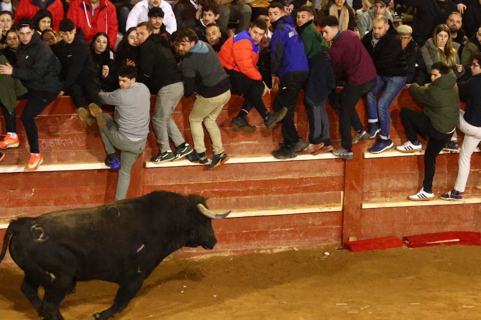 Capea nocturna de lunes en el Carnaval del Toro 2026
