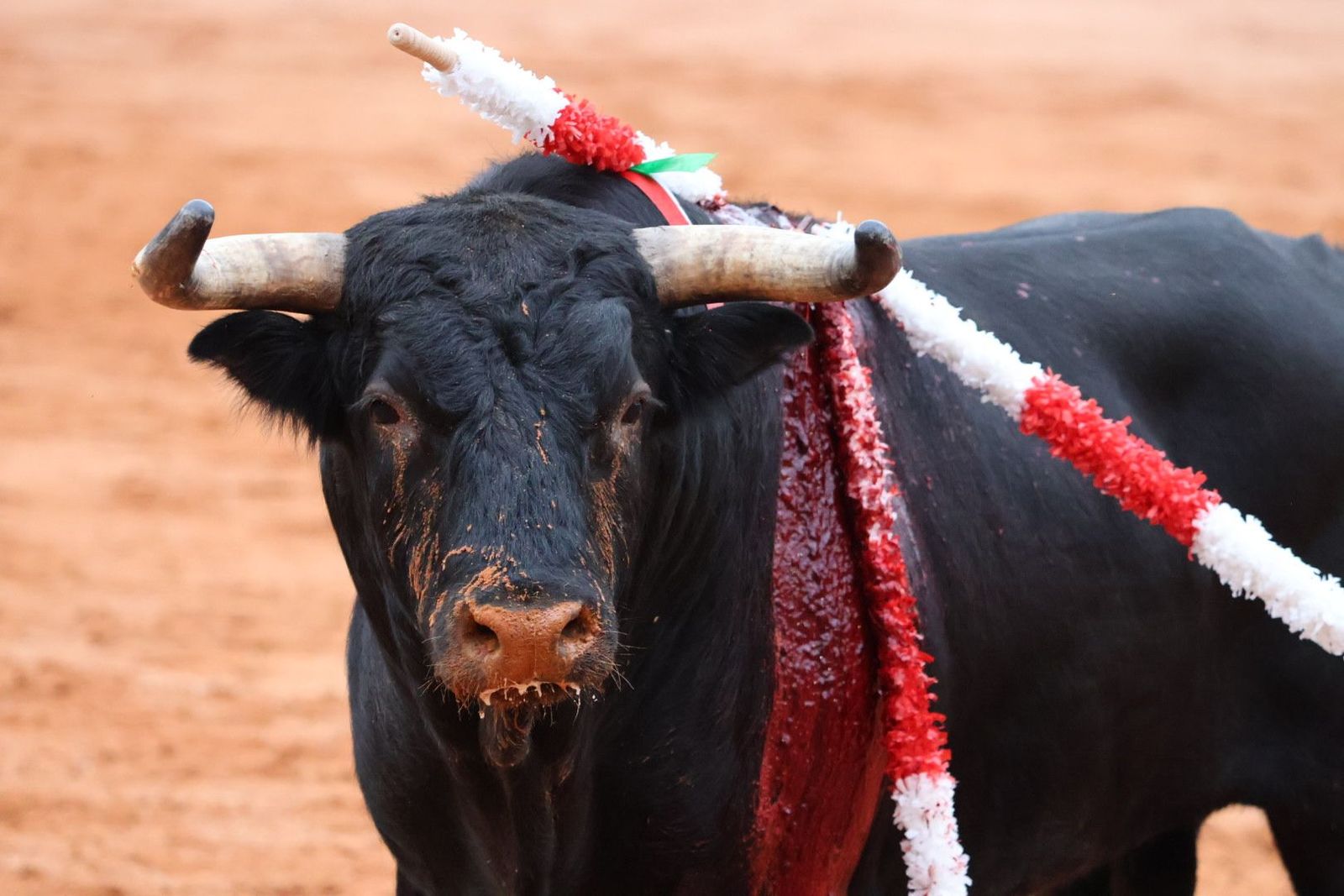 20230909184159-img-0720