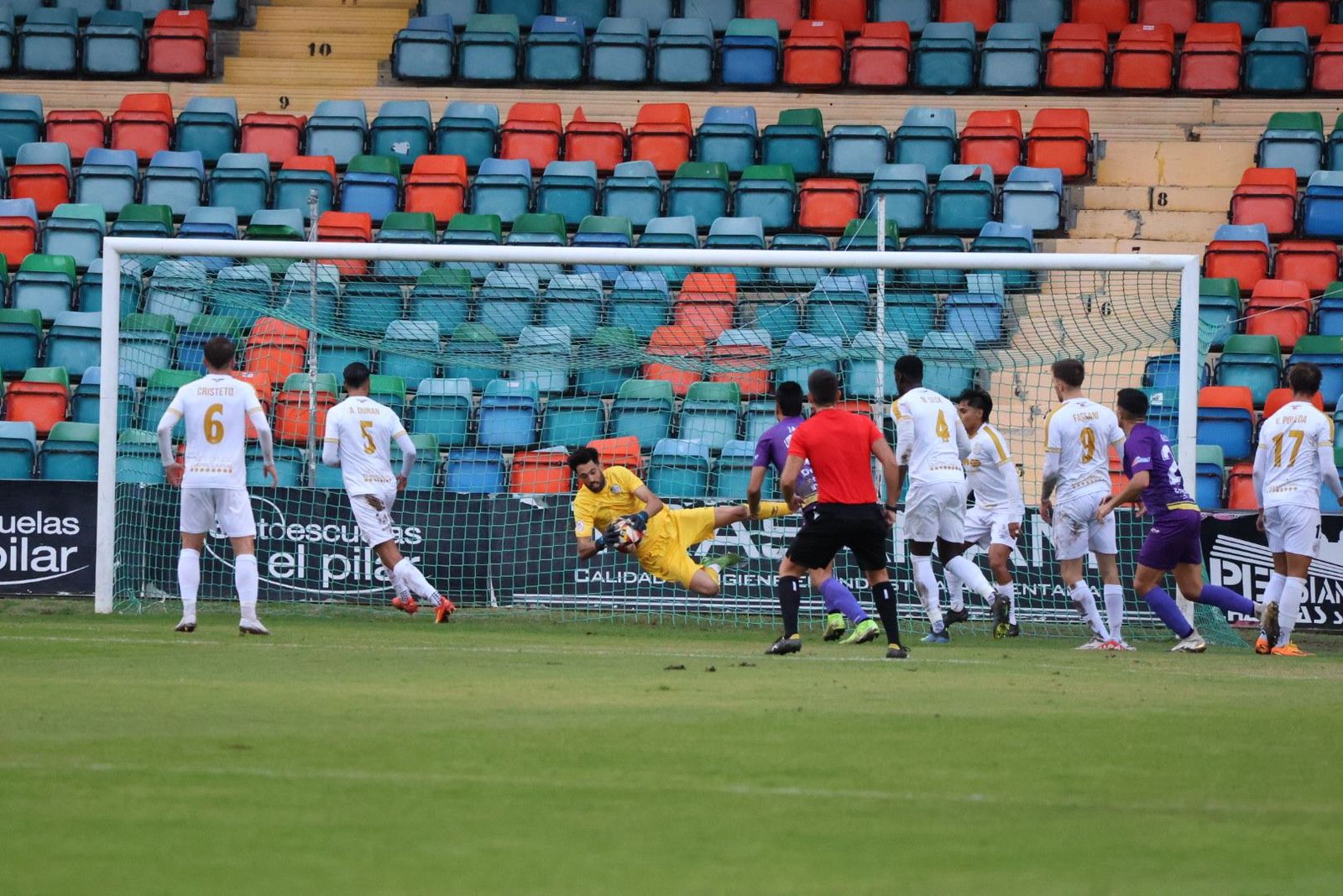 20231101174735-img-6591