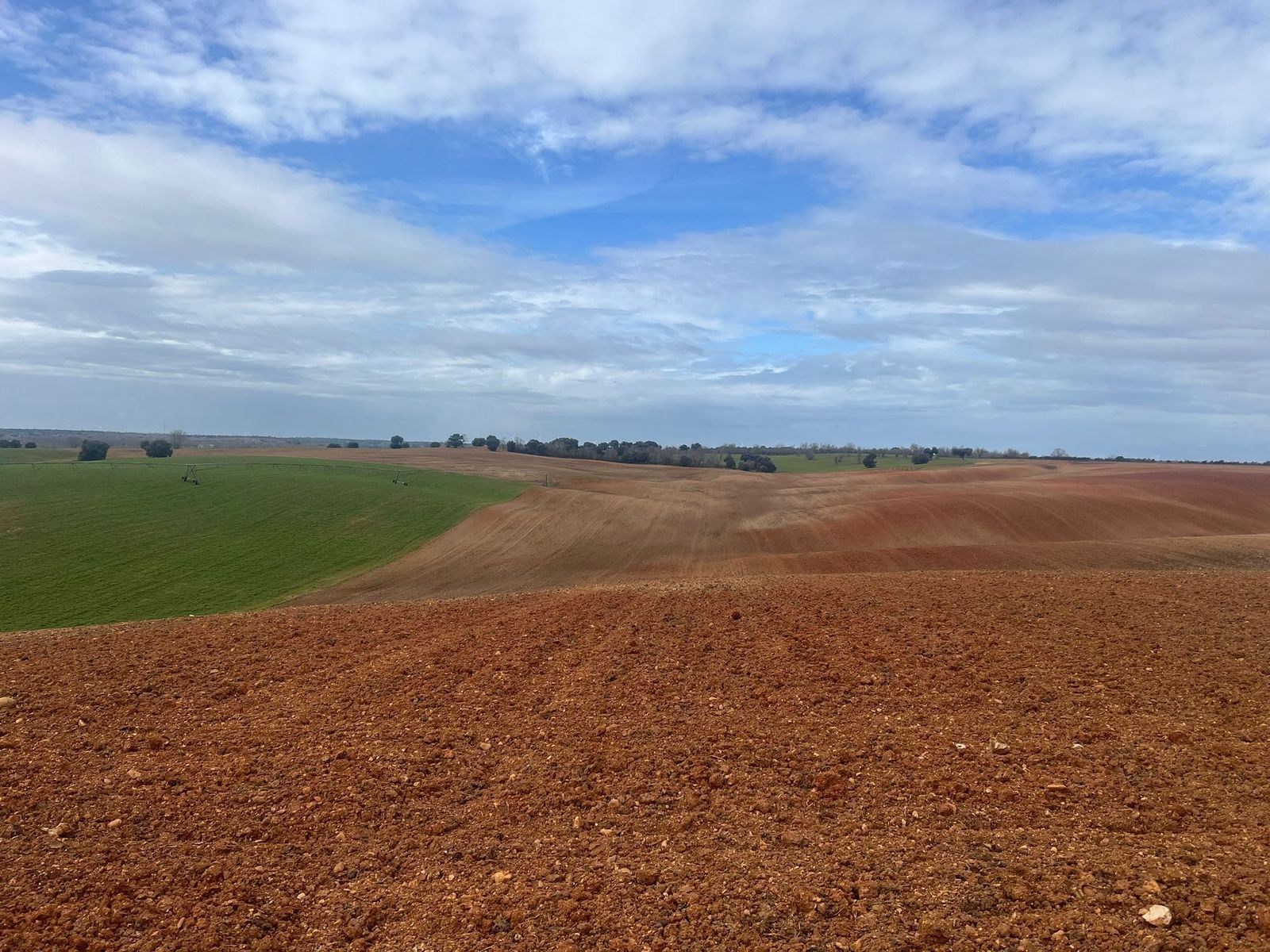 Terrenos El Cubo del Vino.