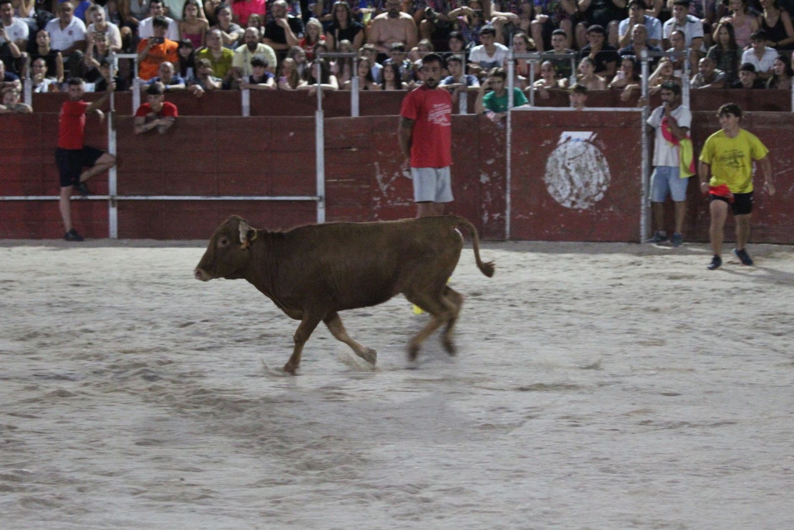 Así se ha vivido el Grand Prix de Carbajosa de la Sagrada y la posterior vaquilla
