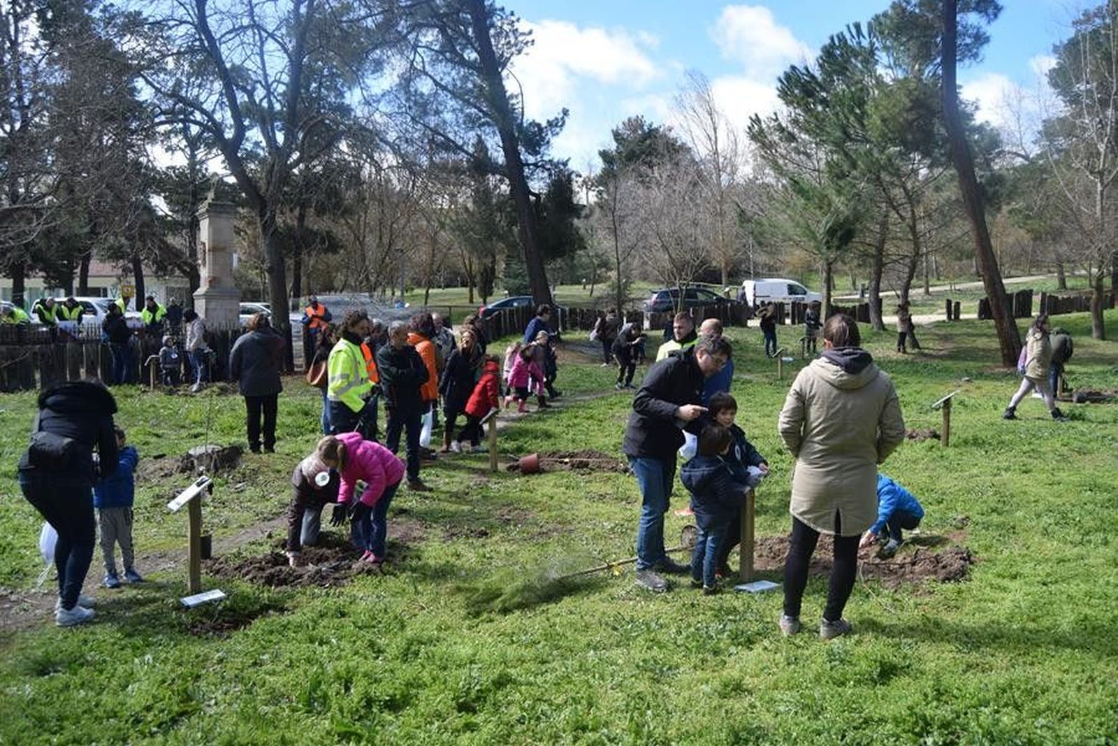 Plantación árboles (72)