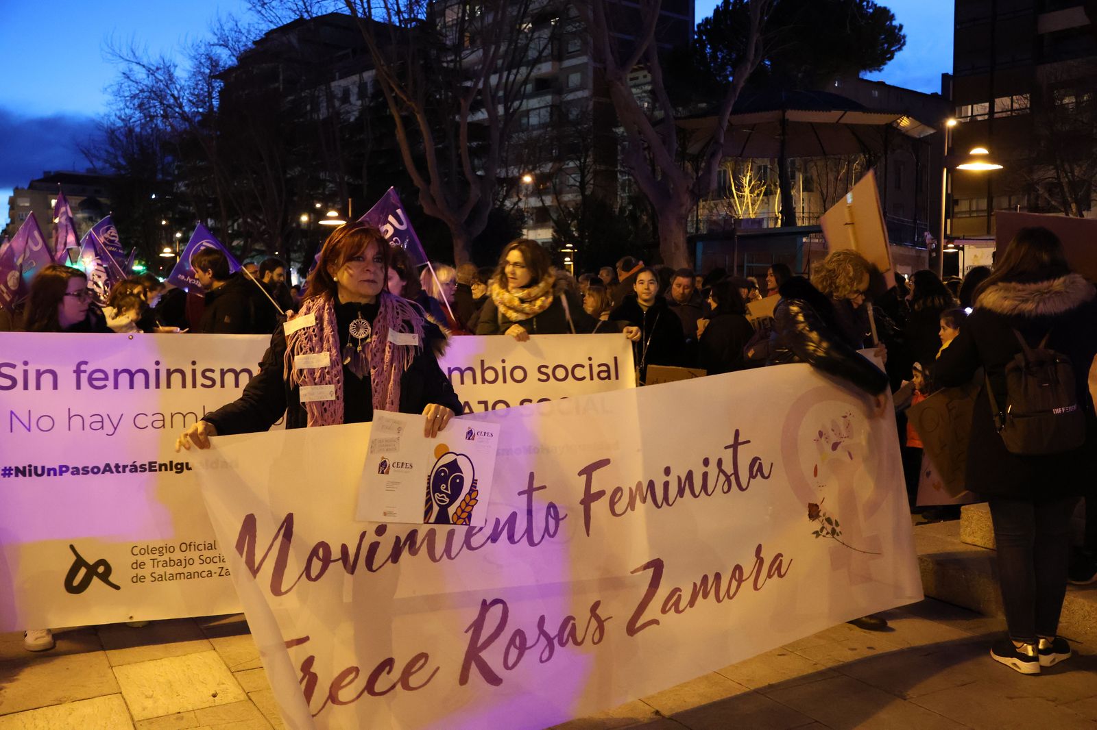 marcha-del-8m-en-zamora-17