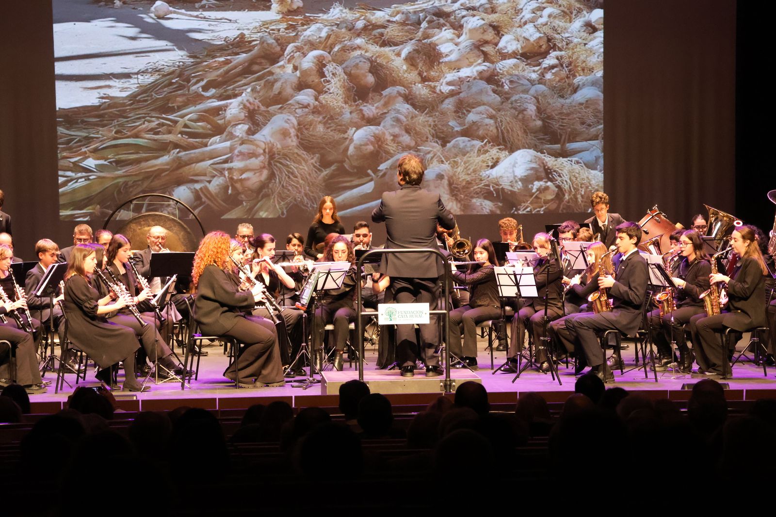 ‘Conciertos por la Igualdad y contra la Violencia de Género' en el Ramos Carrión. Archivo
