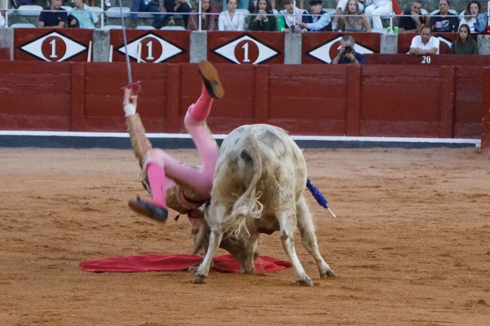 whatsapp-image-2022-09-08-at-9-22-10-pm