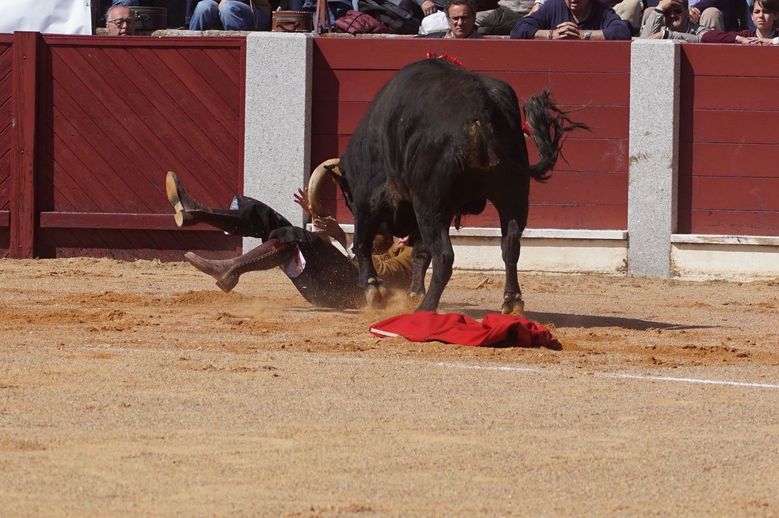 Festival taurino solidario por la esclerosis múltiple en Guijuelo