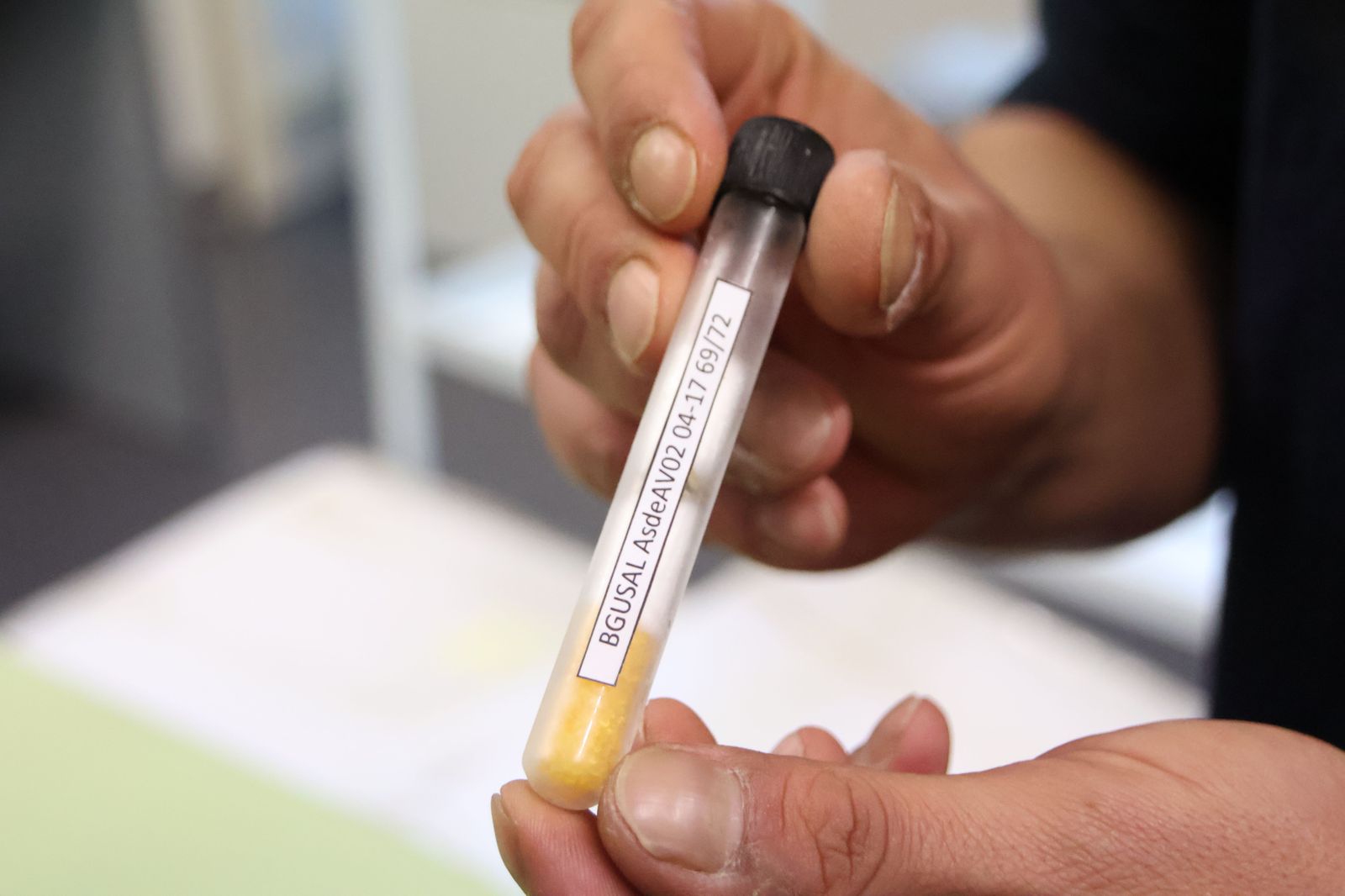 Banco de Germoplasma en el CIALE de la USAL. Semillas