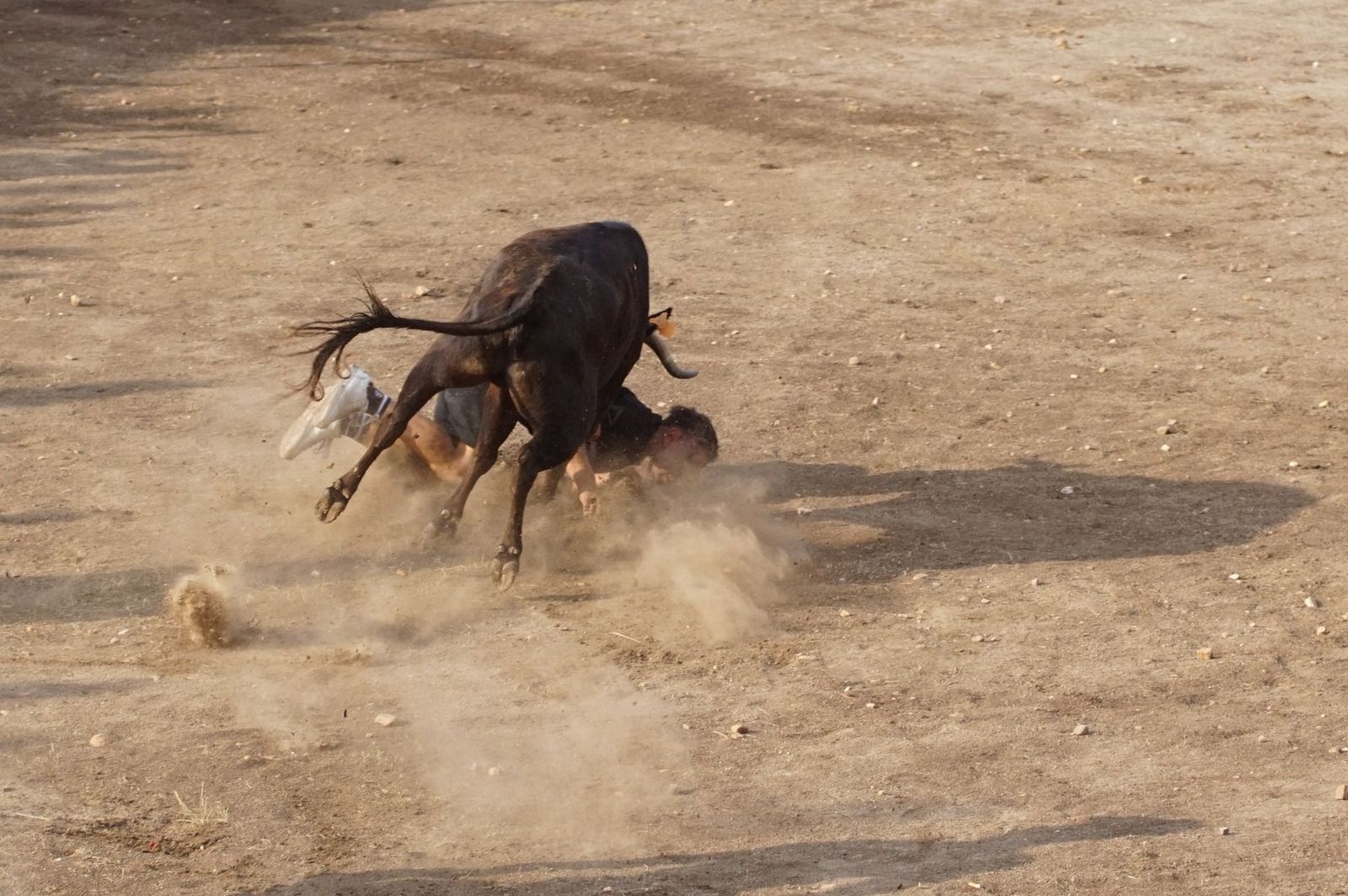 WhatsApp Image 2025-08-01 at 21.51.33 (1).jpeg