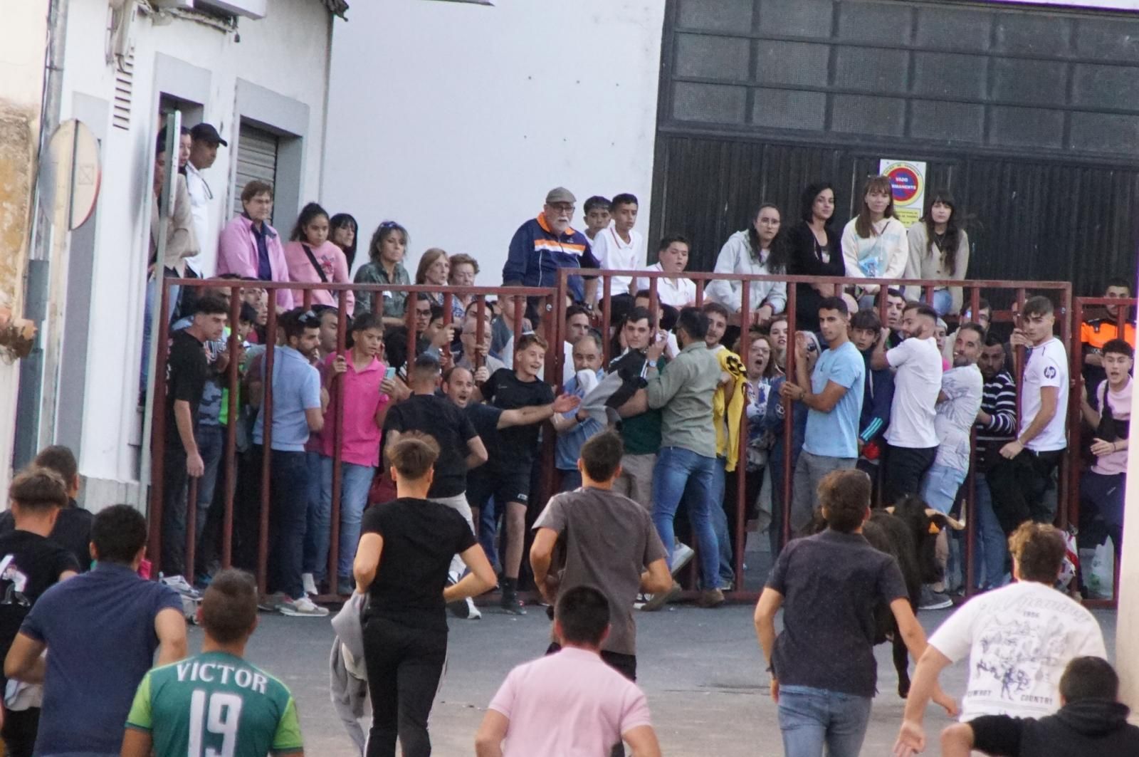 Toro del cajón y capea en Alba de Tormes
