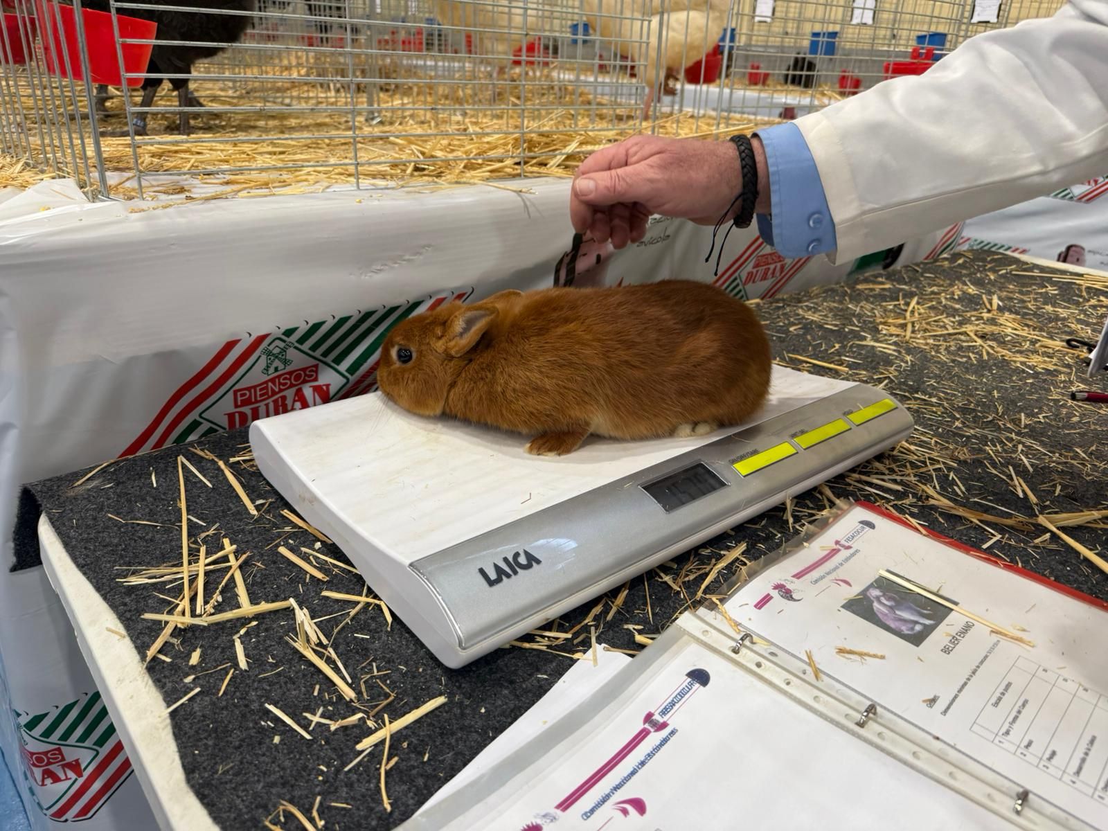 6d21972c-cdaa-4aa3-9ca3-7821c4fe559f