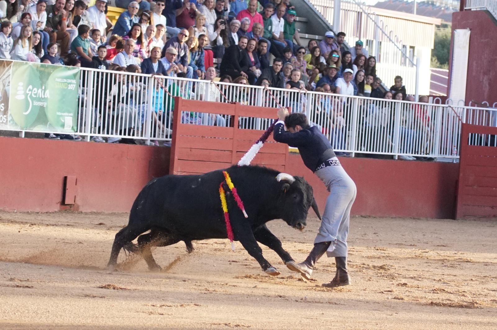 whatsapp-image-2024-09-06-at-20-54-06-2