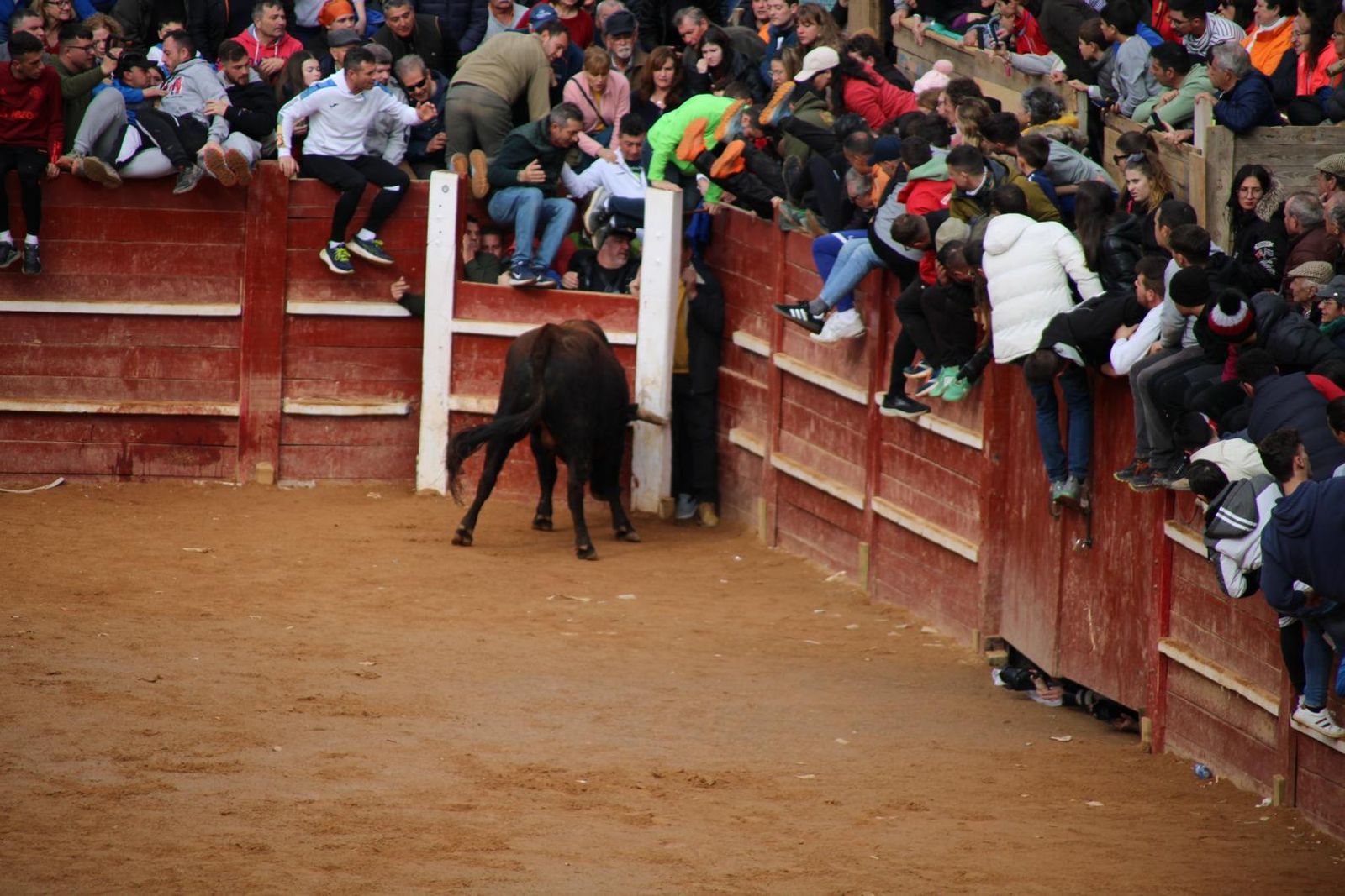 capea-matutina-del-martes-de-carnaval-13