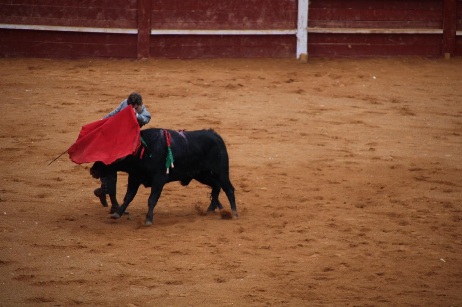 whatsapp-image-2025-03-02-at-18-54-21