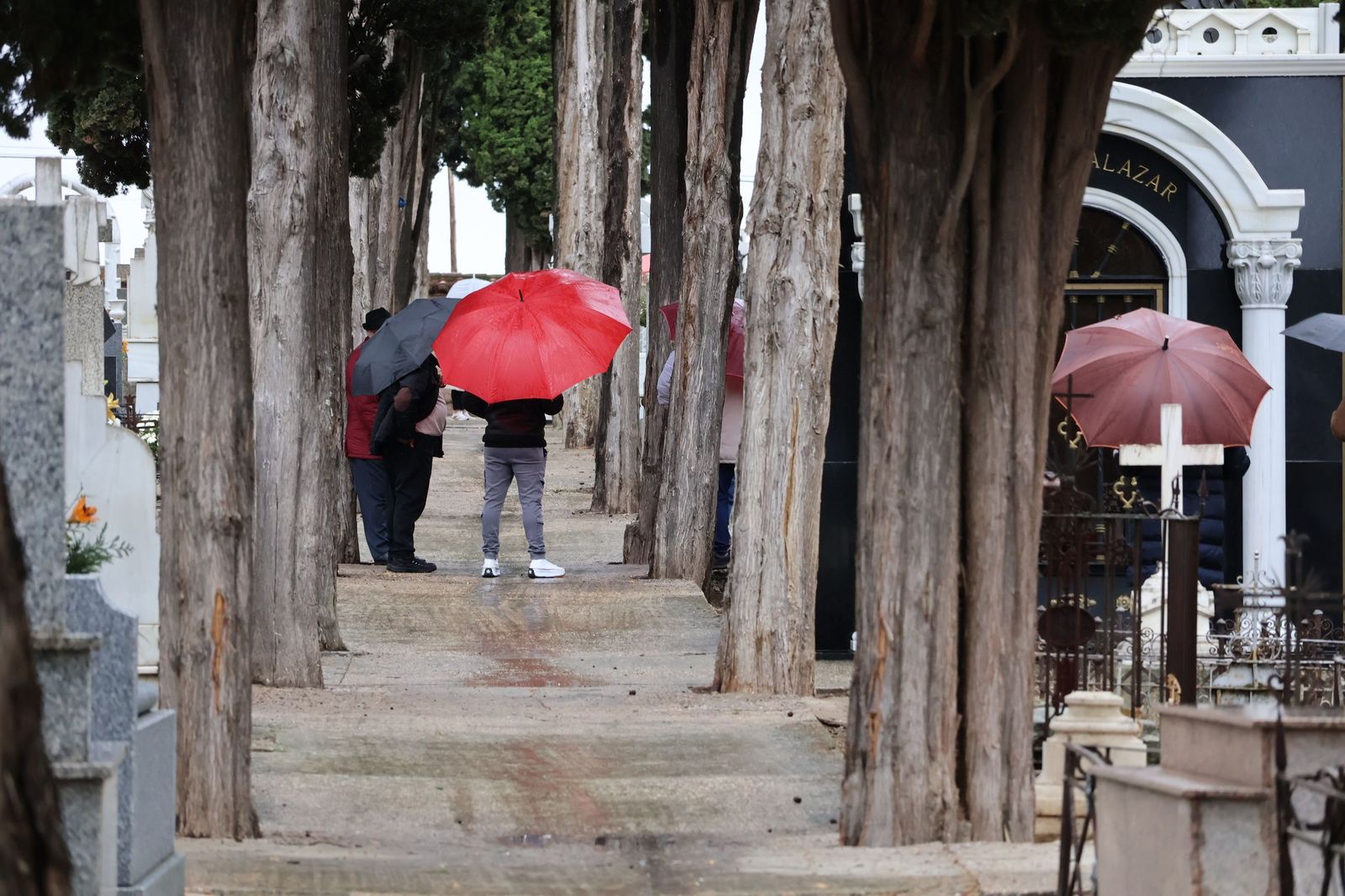 GALERÍA | La lluvia no detiene la tradición: los zamoranos acuden al cementerio para recordar a sus fallecidos