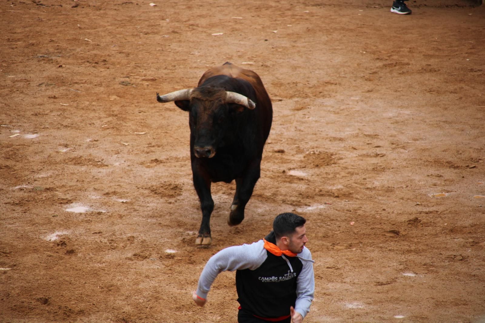 capea-matutina-del-martes-de-carnaval-30