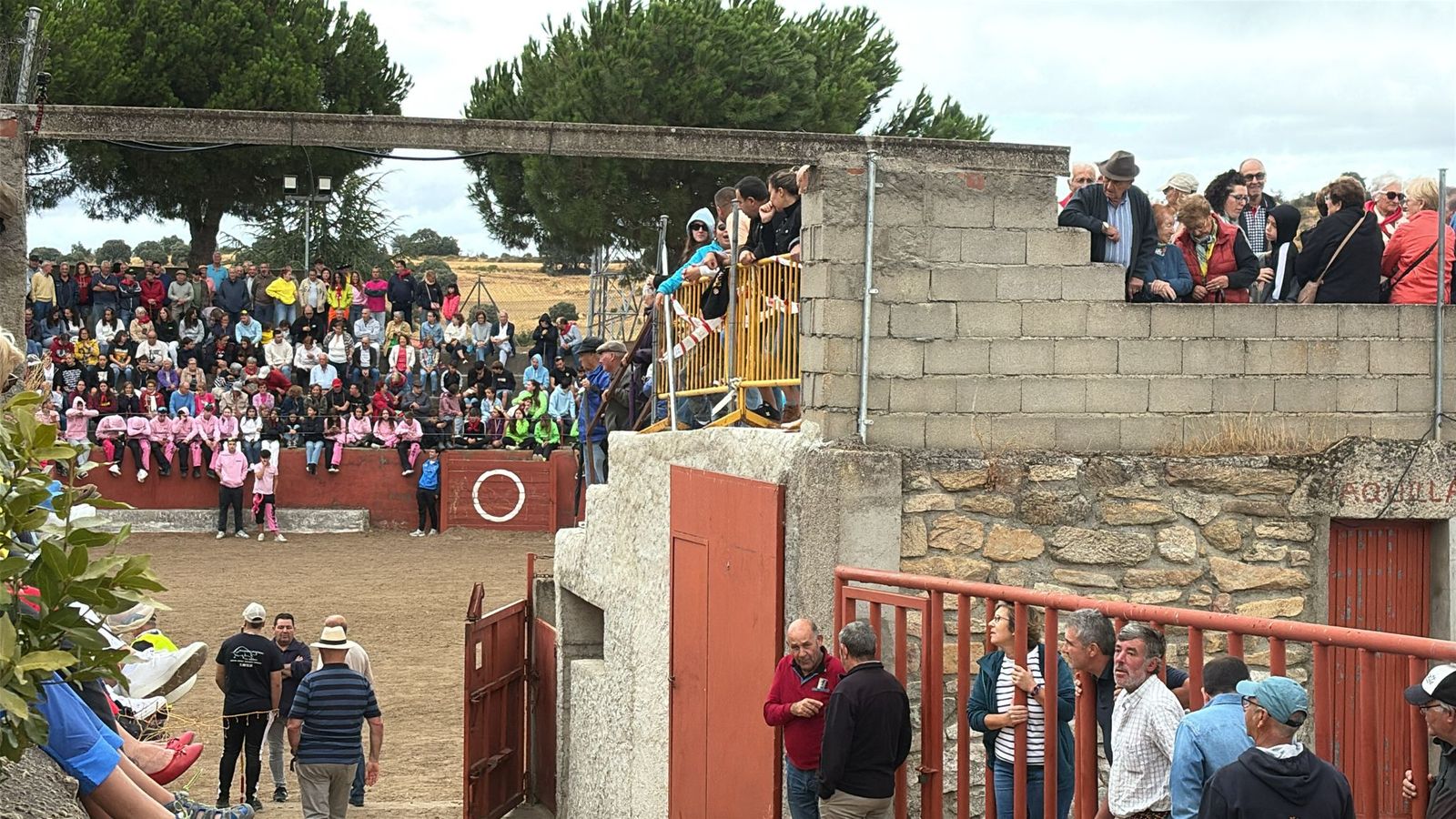Segundo encierro con novillos de Valdeflores en Pereña de la Ribera