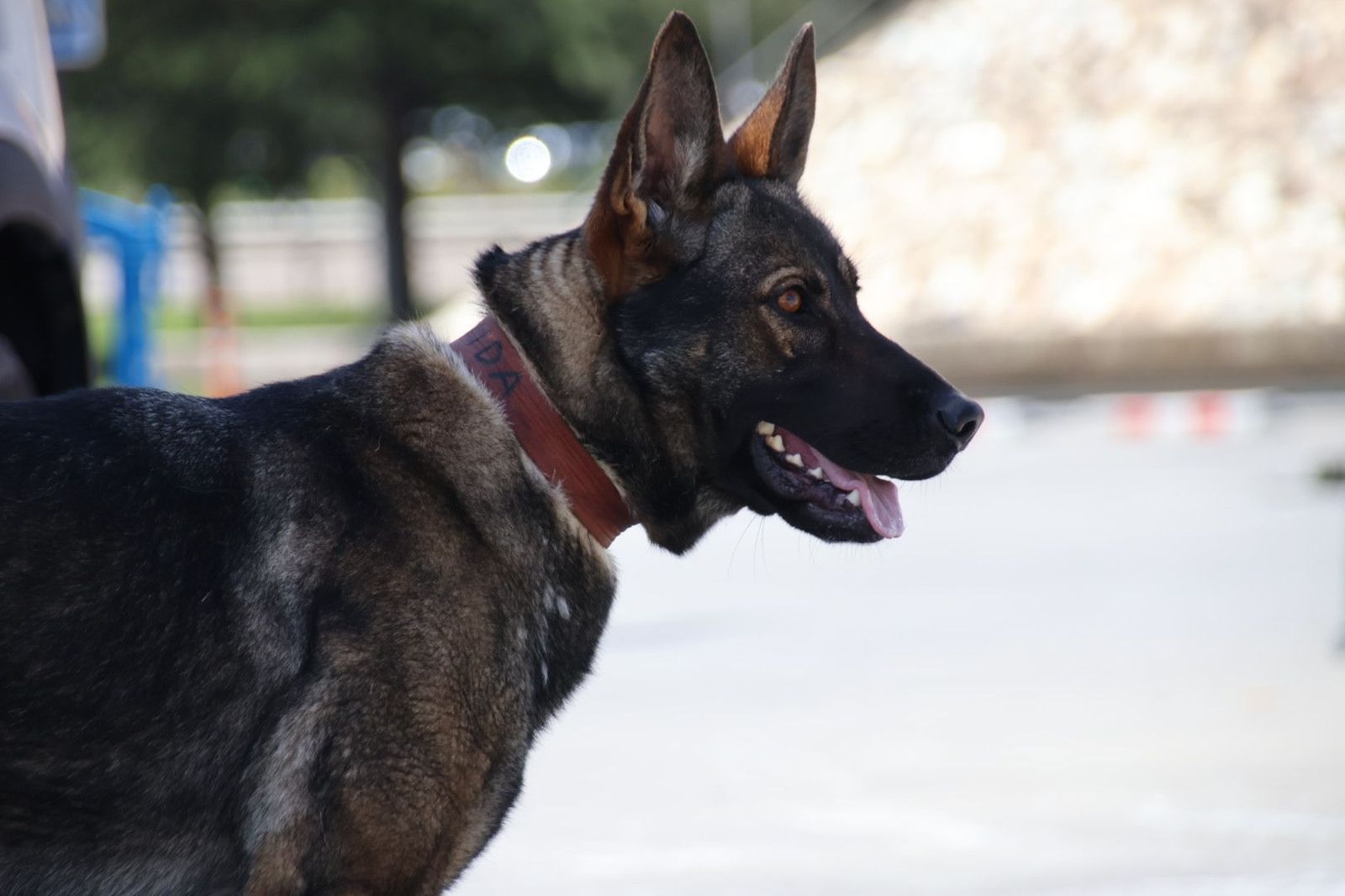 20230608102956-img-0443