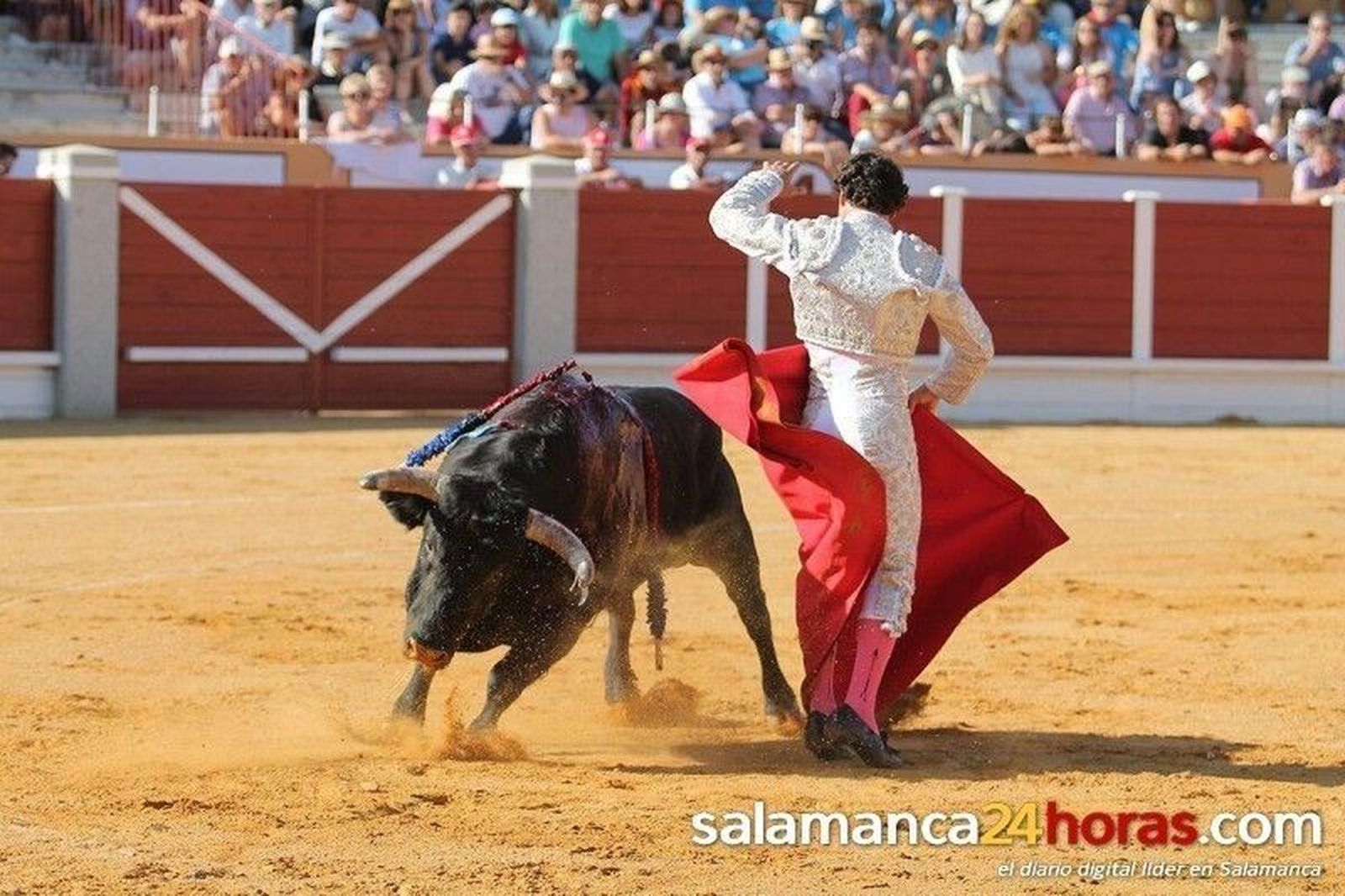 Toros en Peñaranda