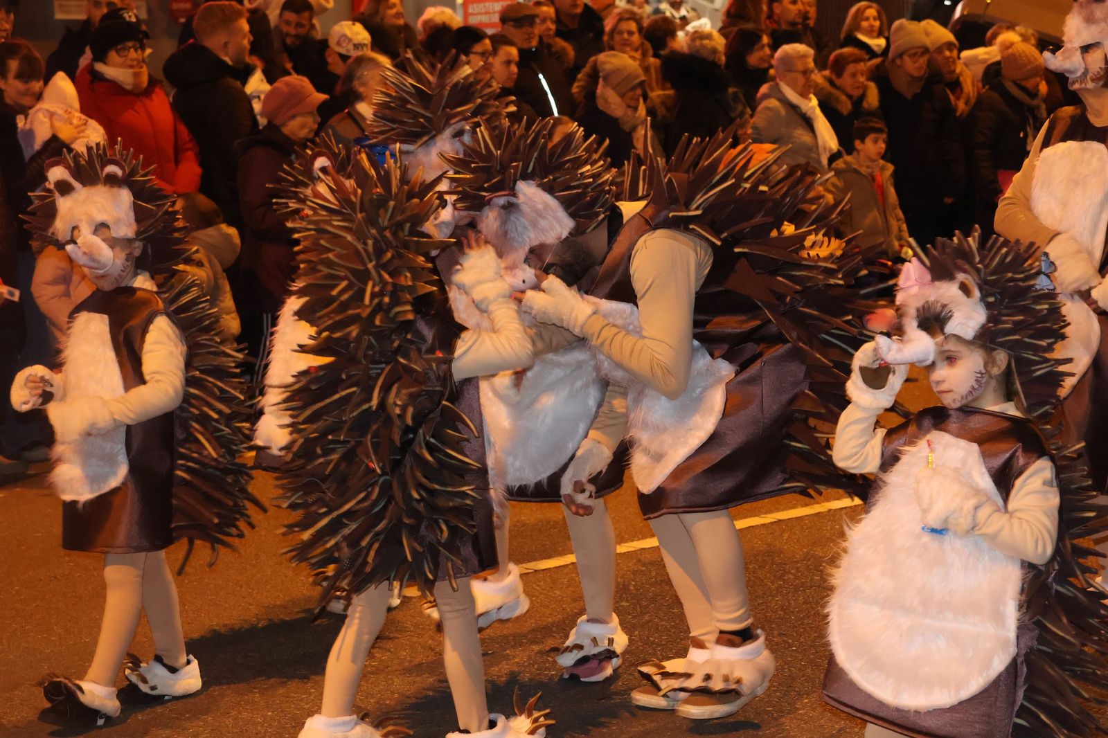 GALERÍA | Disfruta de las imágenes del colorido desfile de Carnaval en Zamora