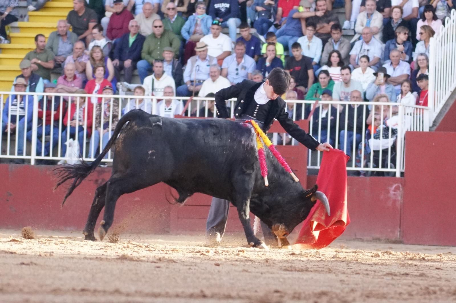 whatsapp-image-2024-09-06-at-20-54-18