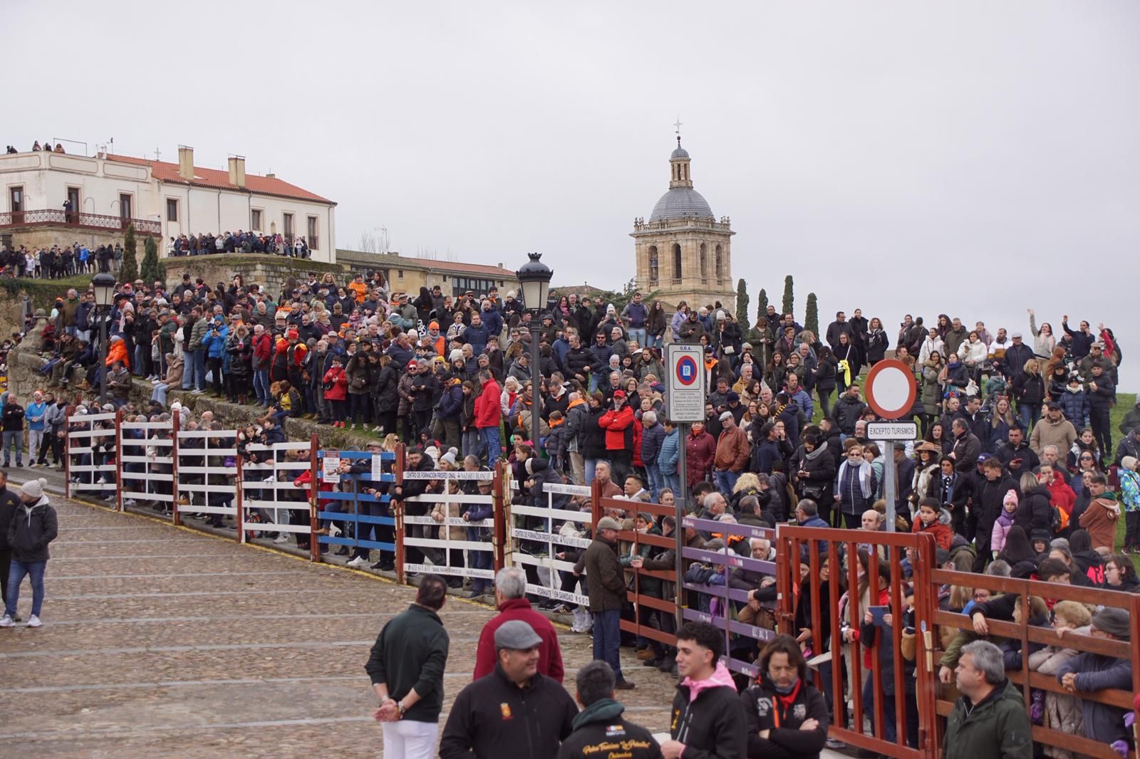 Capea matinal de domingo de carnaval en Ciudad Rodrigo (83).jpeg