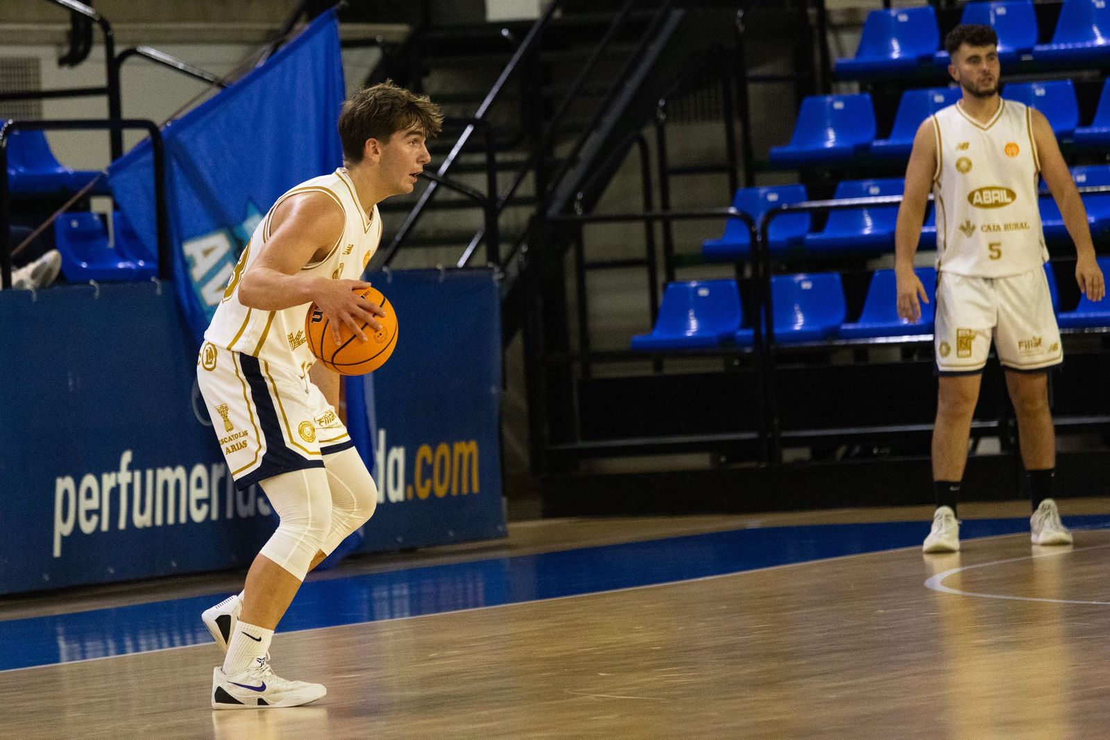 Perfumerías Avenida – Reino de León