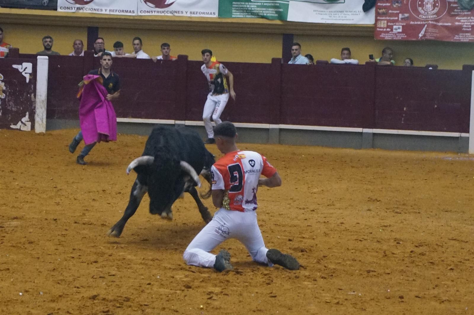 Alba de Tormes celebra un nuevo concurso de cortes