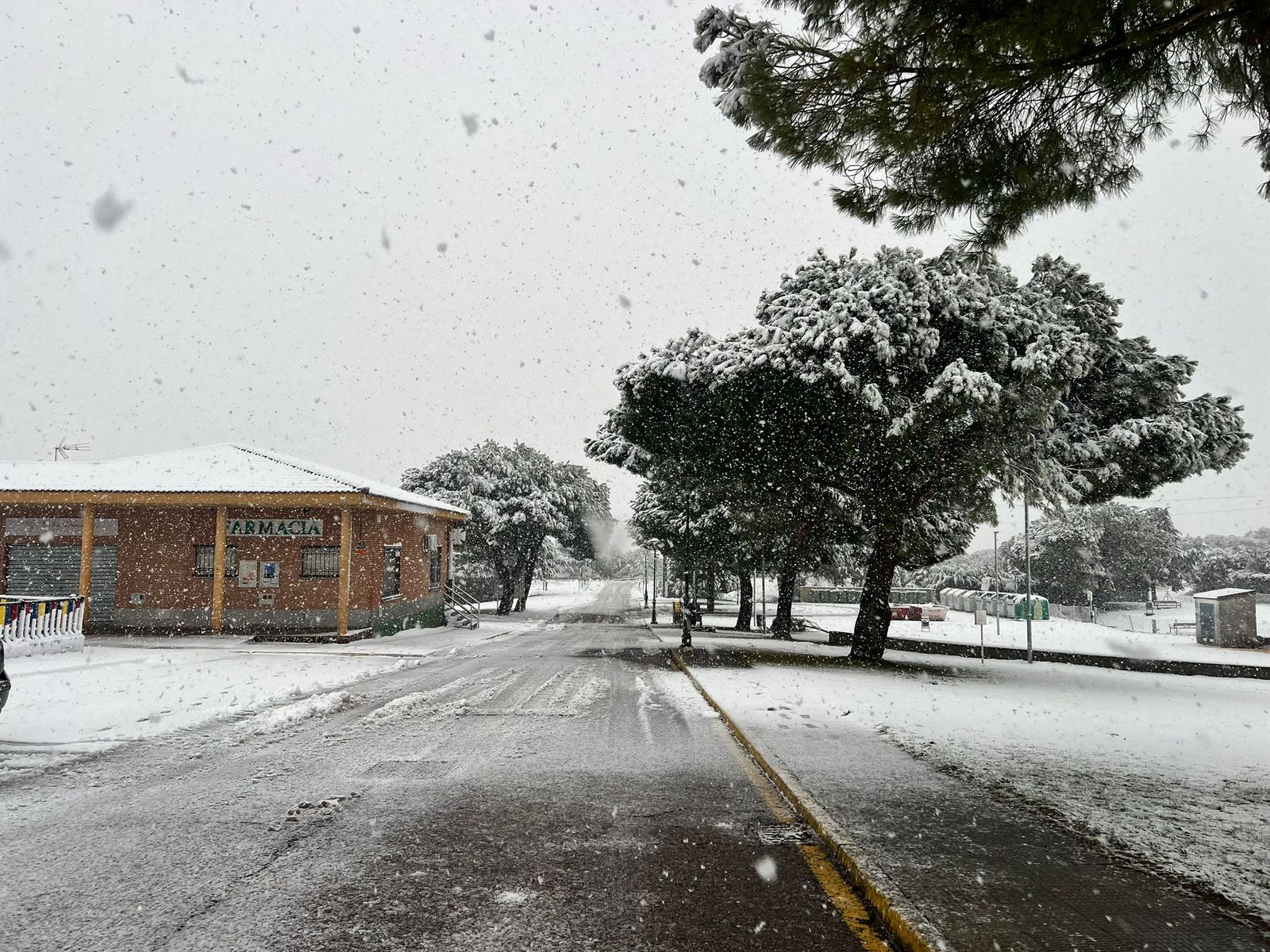 Nevada en Salamanca 28 de enero 2026