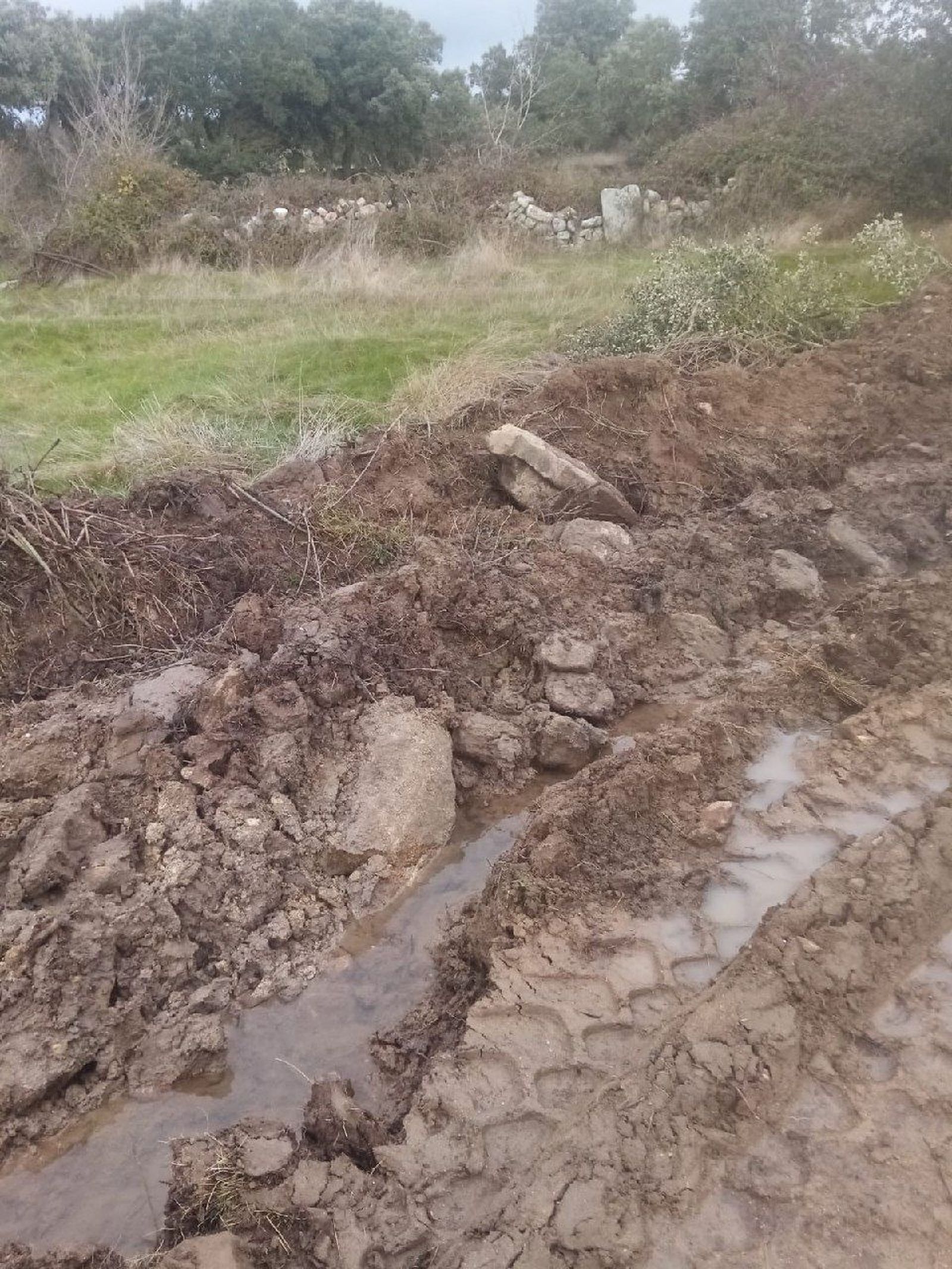 WhatsApp Image 2020 12 23 at 11.30.05