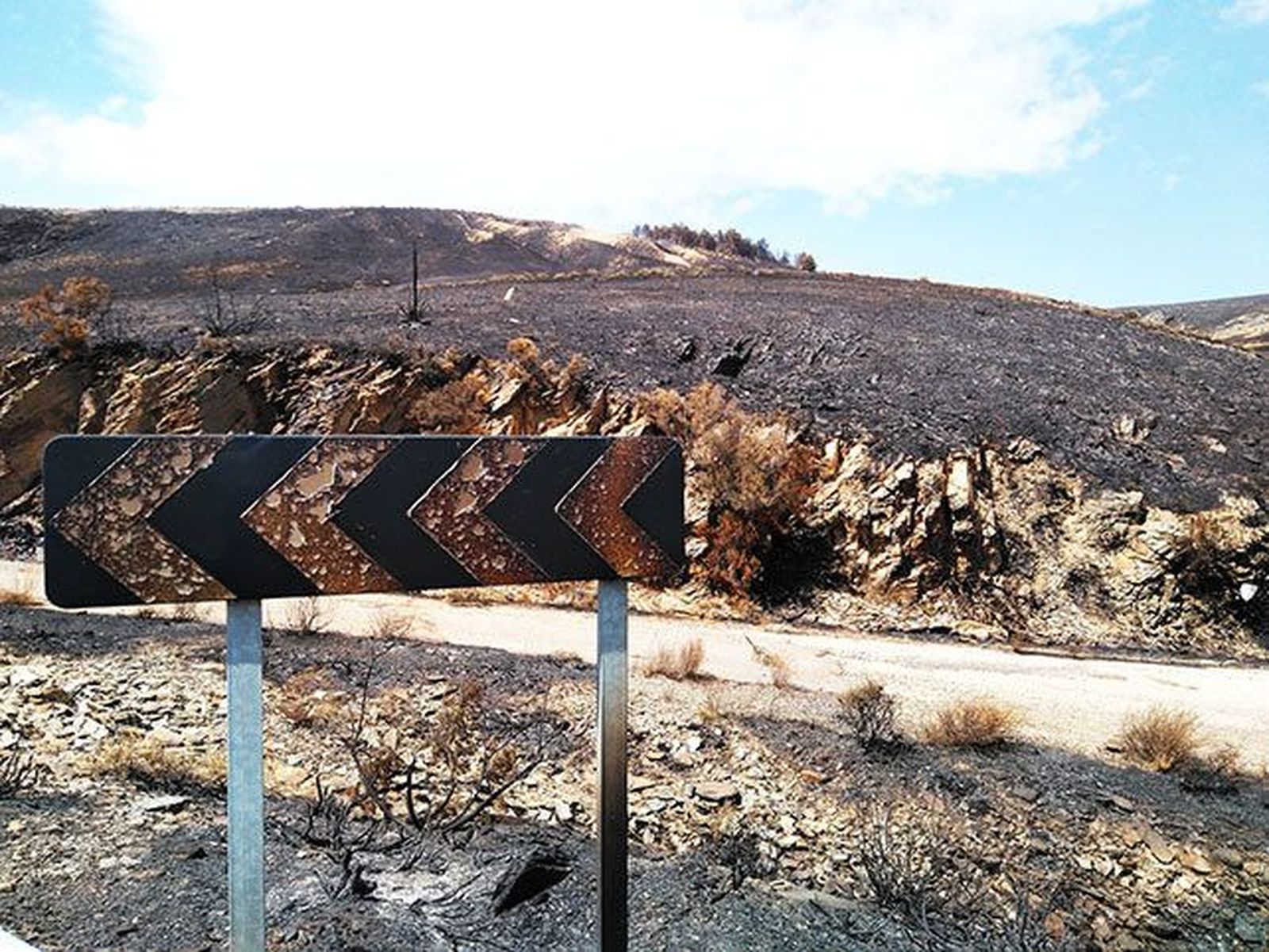 La comarca de Cabrera se manifiesta contra los incendios provocados por la mano del hombre