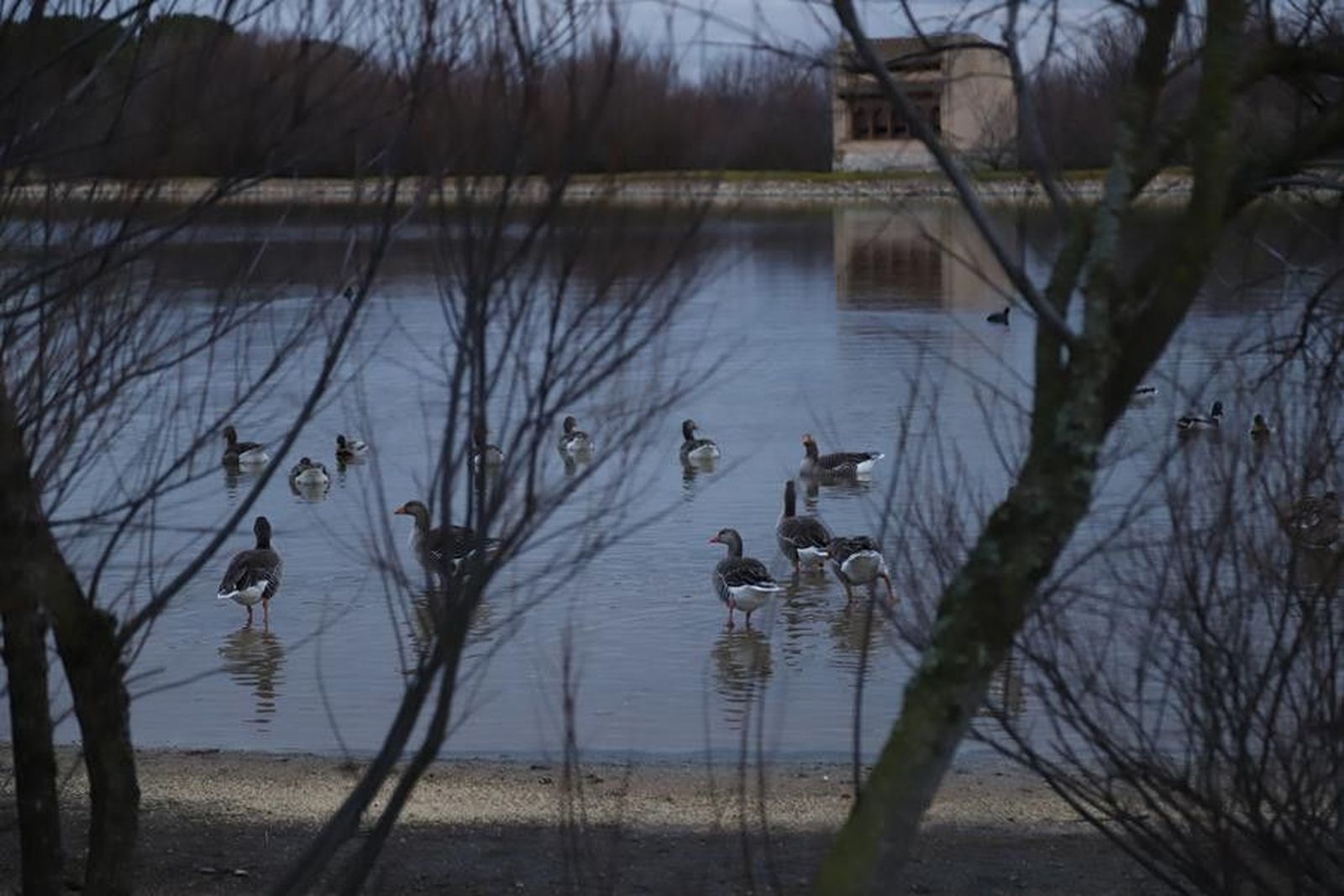 Villafáfila humedales