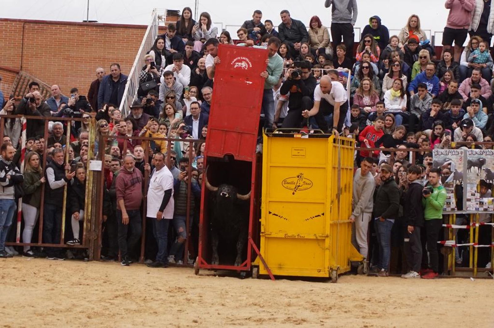 ambiente-y-participacion-durante-el-toro-del-voto-en-villoria-suelta-de-dos-toros-del-cajon-foto-juanes-11