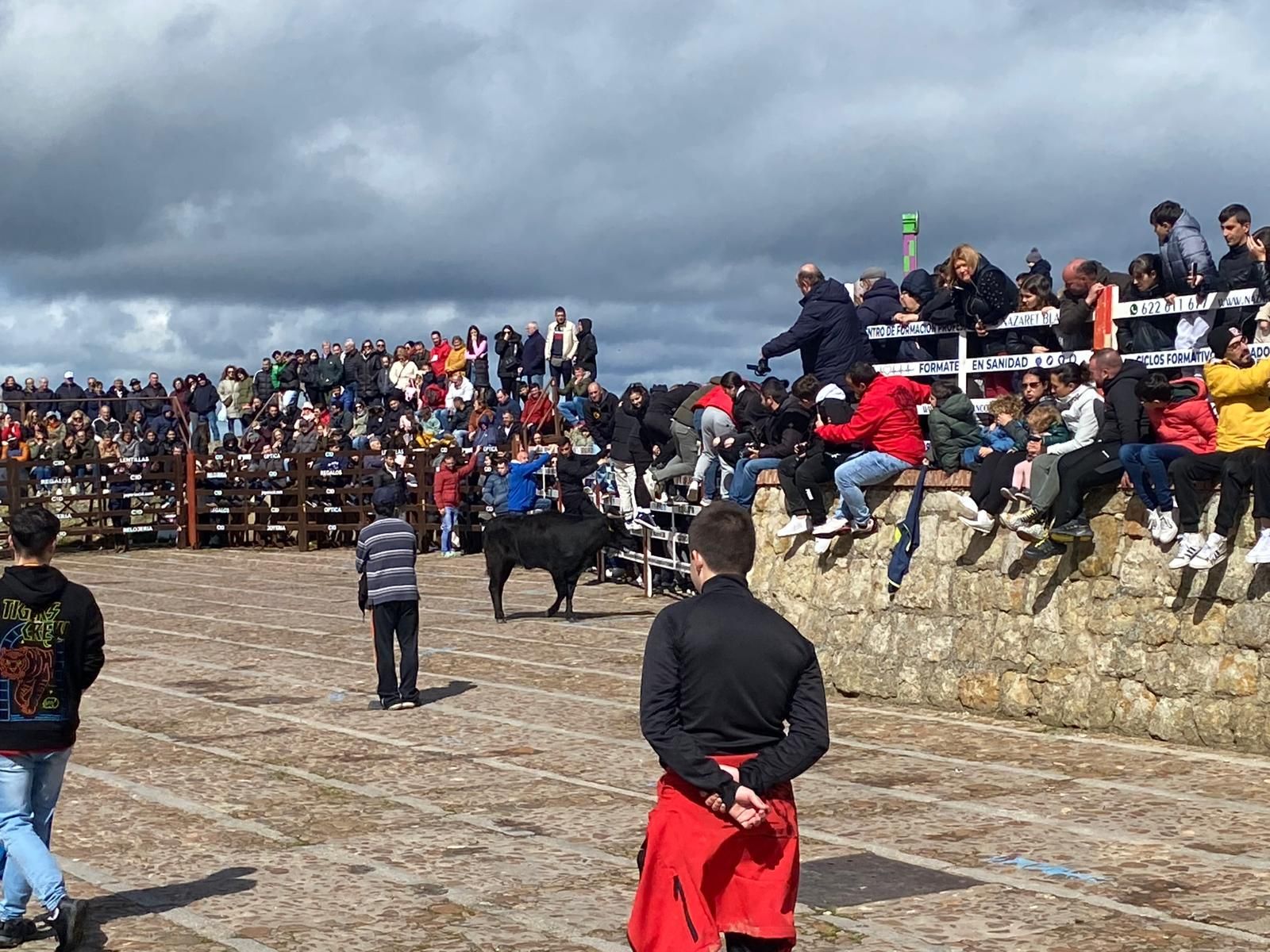 suelta-de-vaquillas-por-el-domingo-de-pinata-en-ciudad-rodrigo-9-de-marzo-de-2025-17