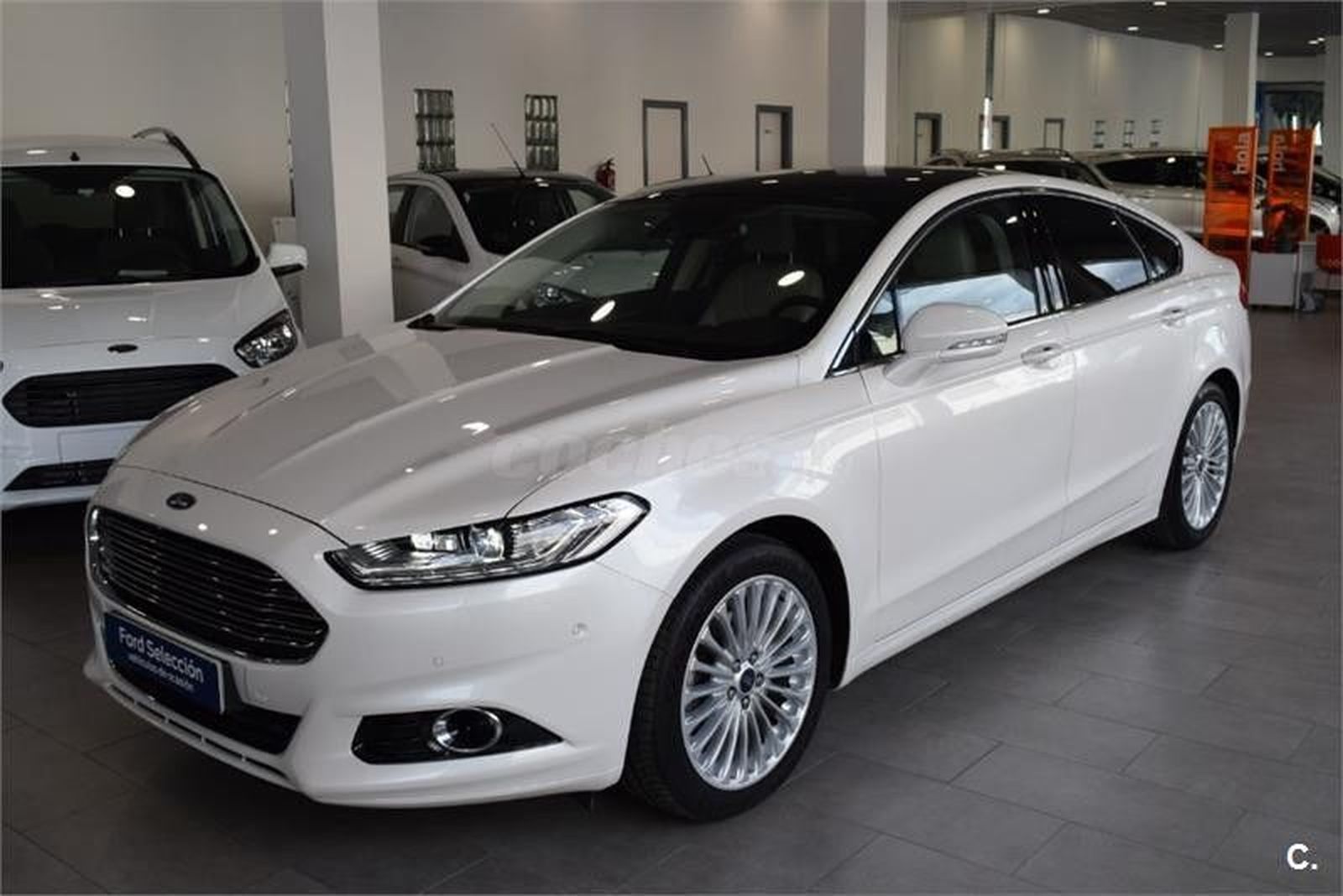 Fernando Rodru00edguez 3