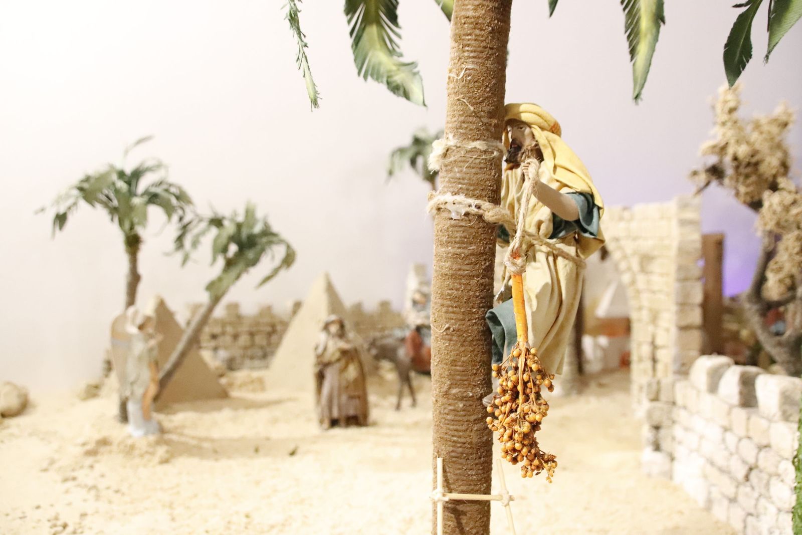 20221201130350-mg-4640