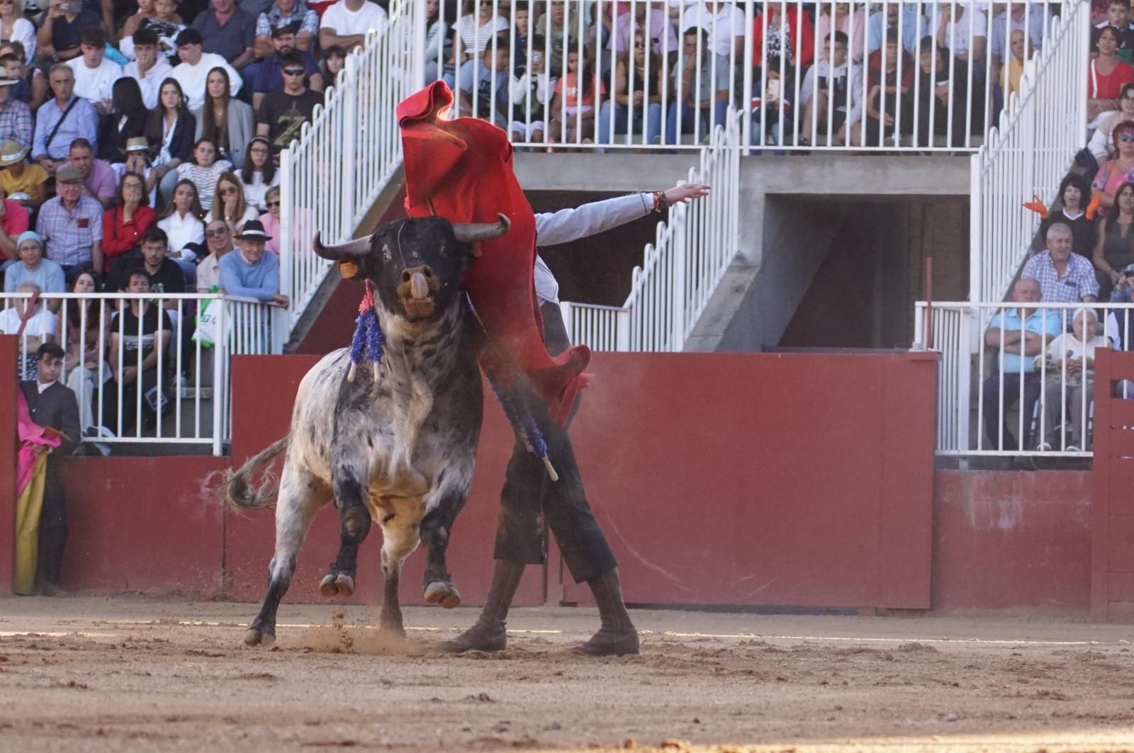 whatsapp-image-2024-09-07-at-20-48-15-2