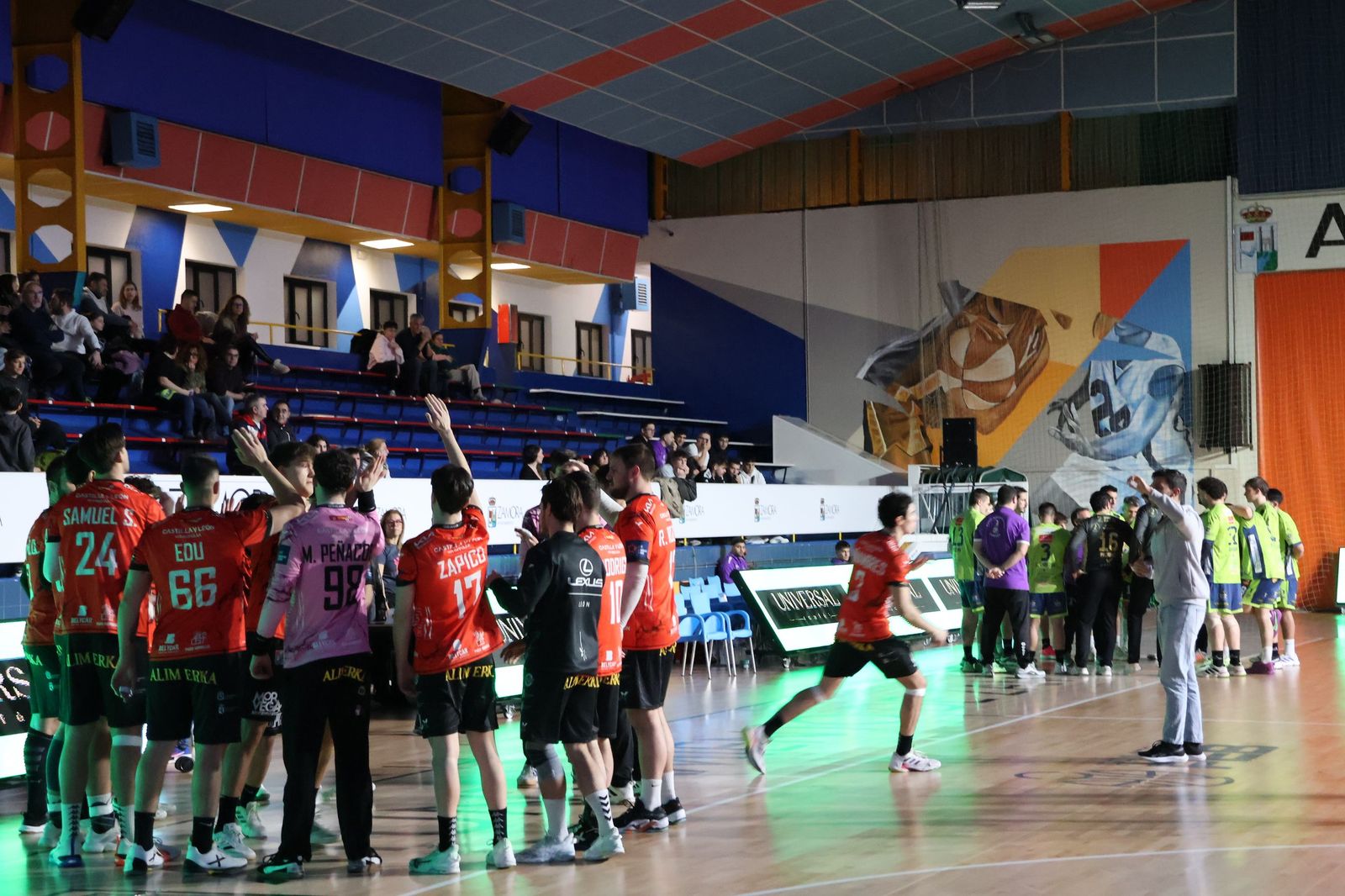 Balonmano Zamora- Ademar León