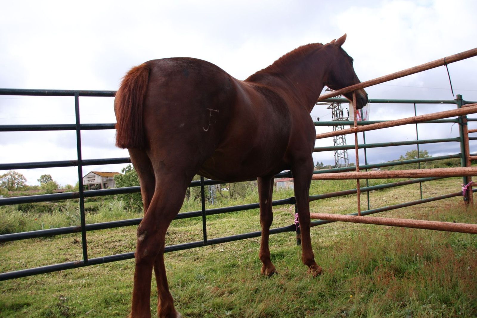 20240501103122-img-2905