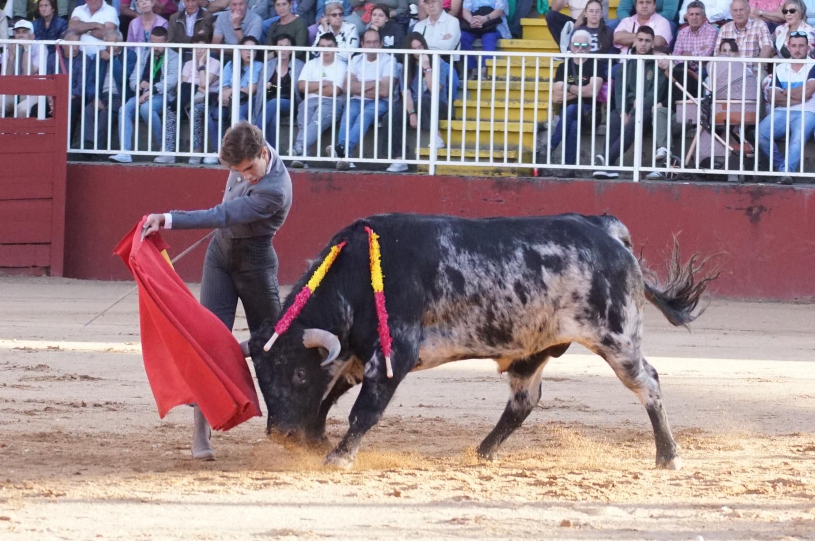 whatsapp-image-2024-09-07-at-20-48-37